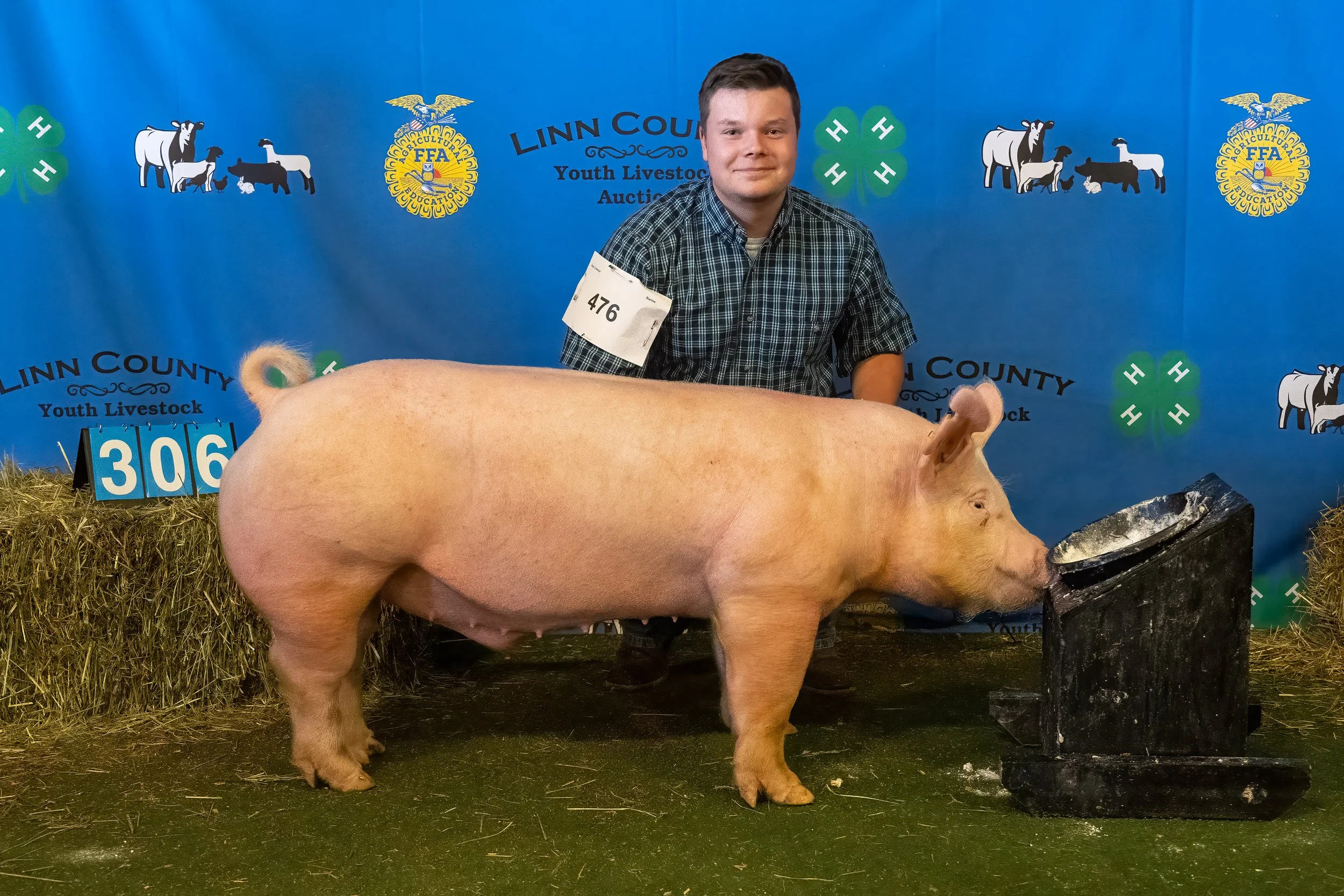Swine 306 (9939).jpg