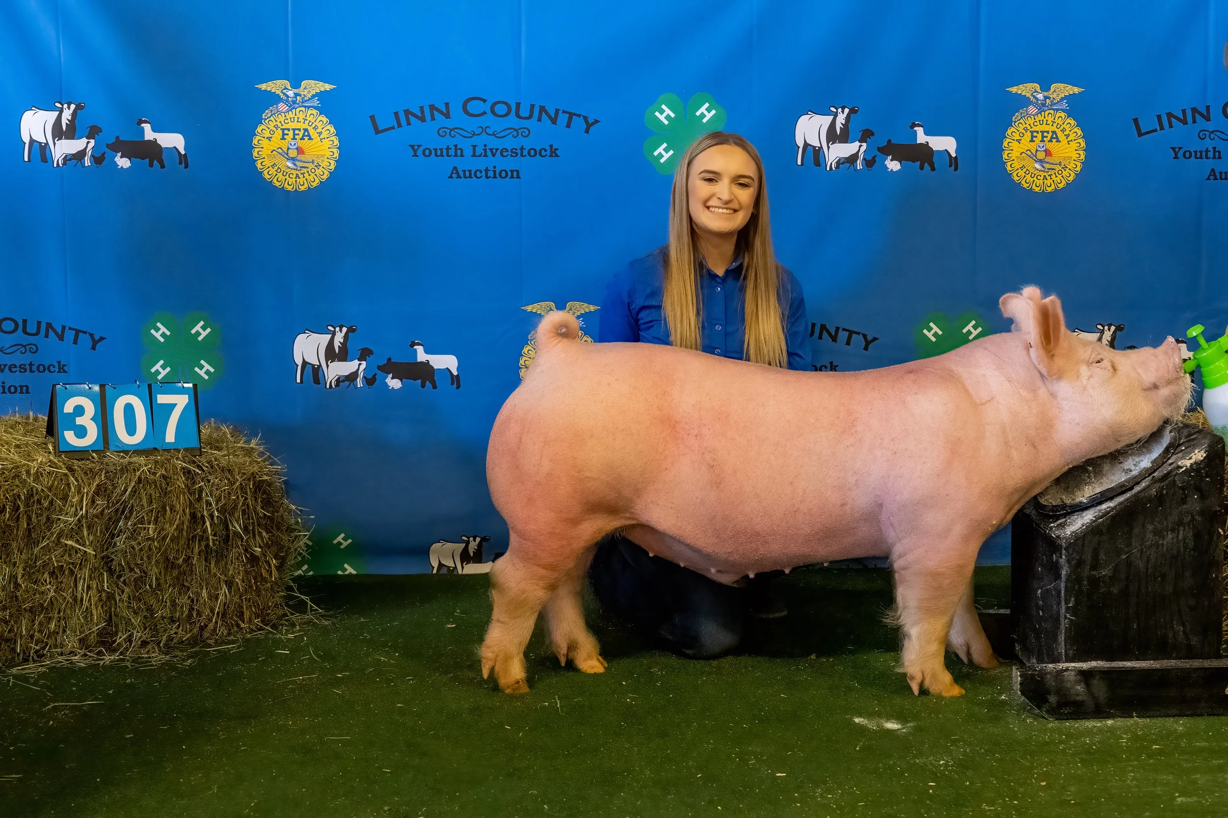 Swine 307 (9039).jpg
