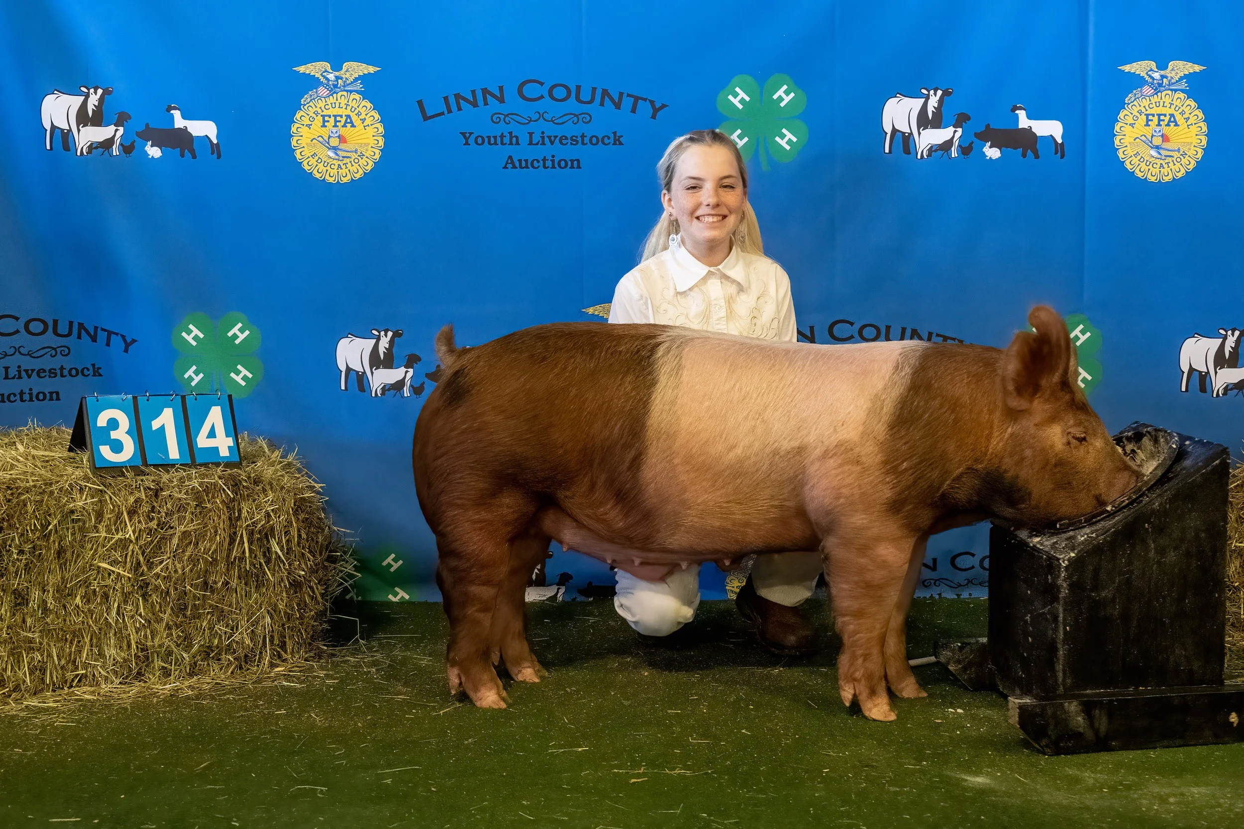Swine 314 (9248).jpg