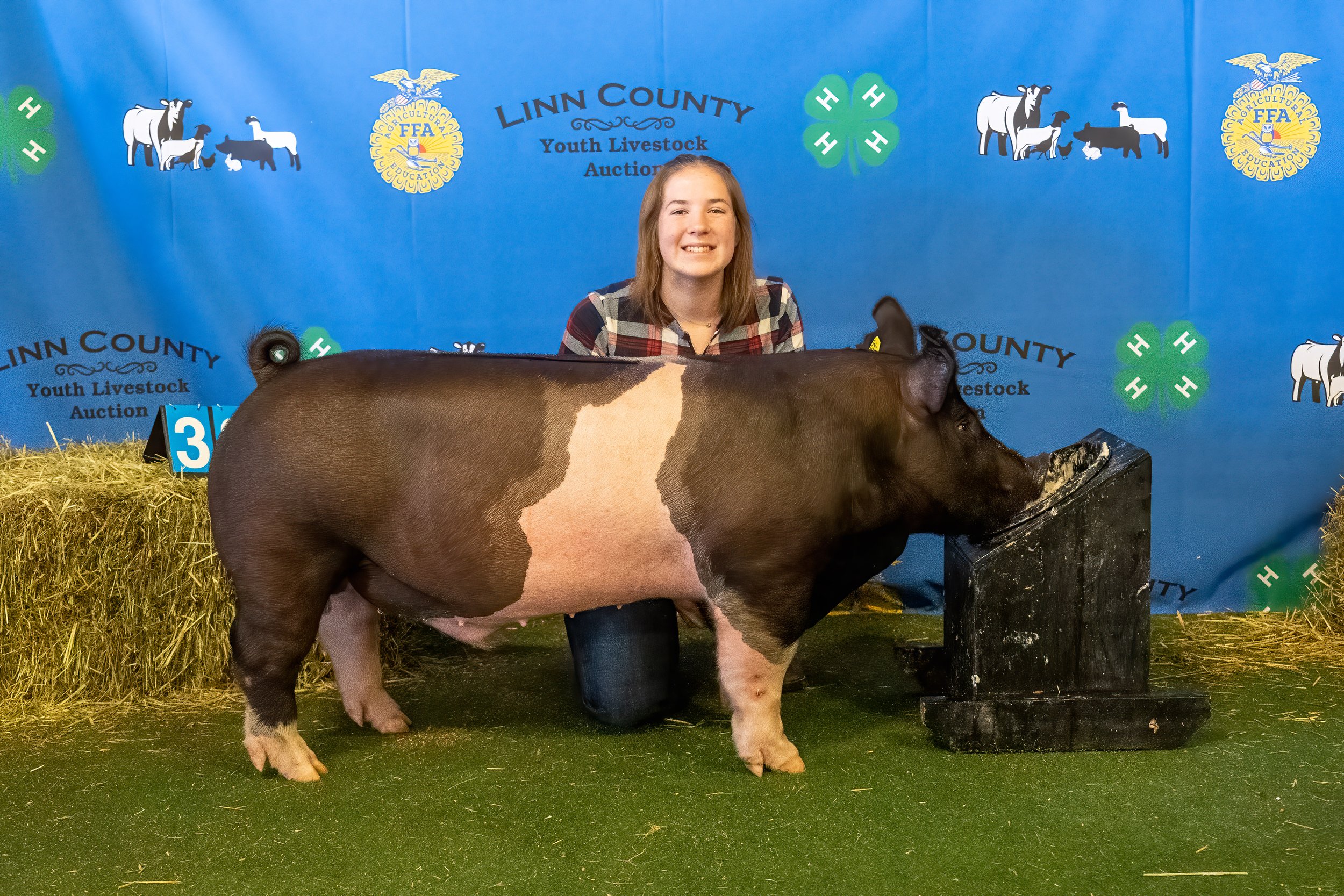 Swine 332 (9745).jpg