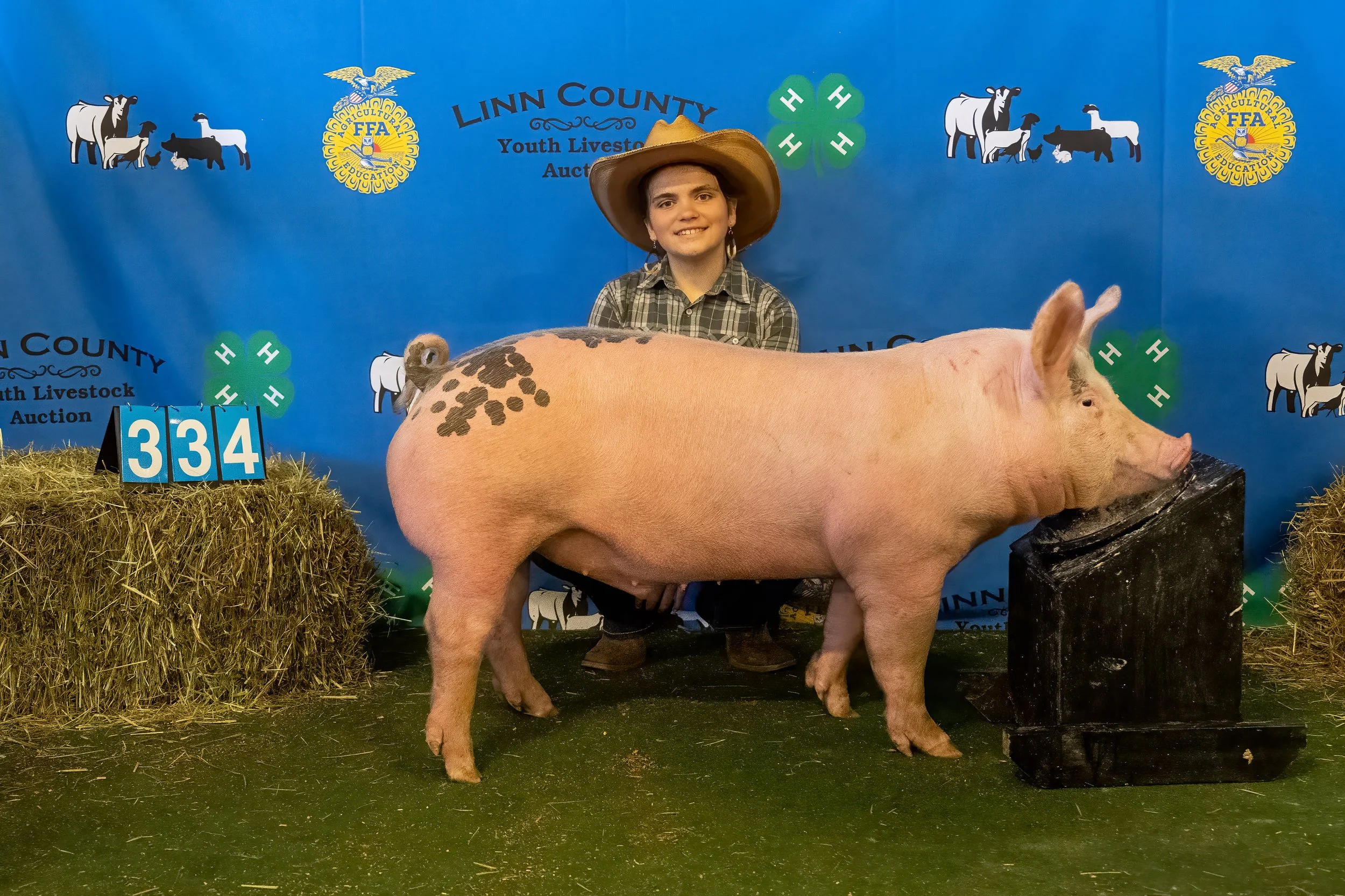 Swine 334 (9500).jpg