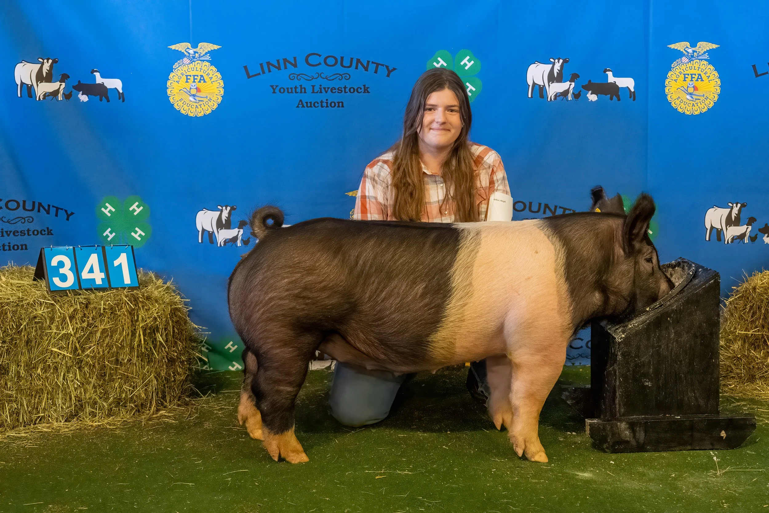 Swine 341 (9250).jpg
