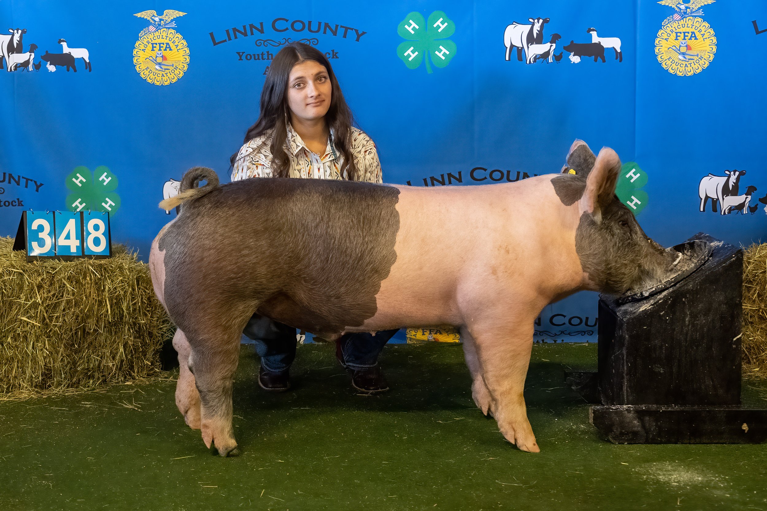 Swine 348 (9336).jpg