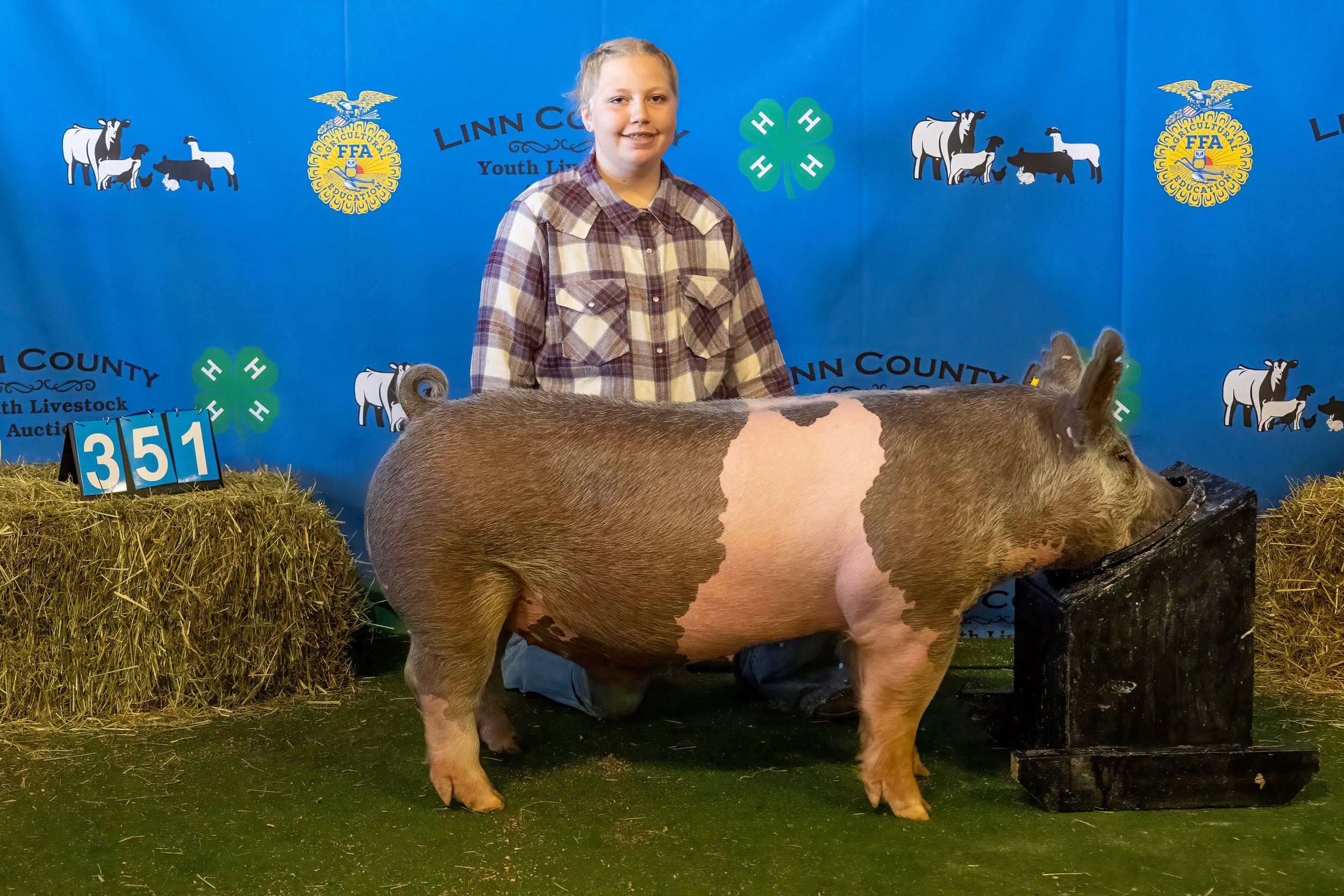 Swine 351 (9497).jpg