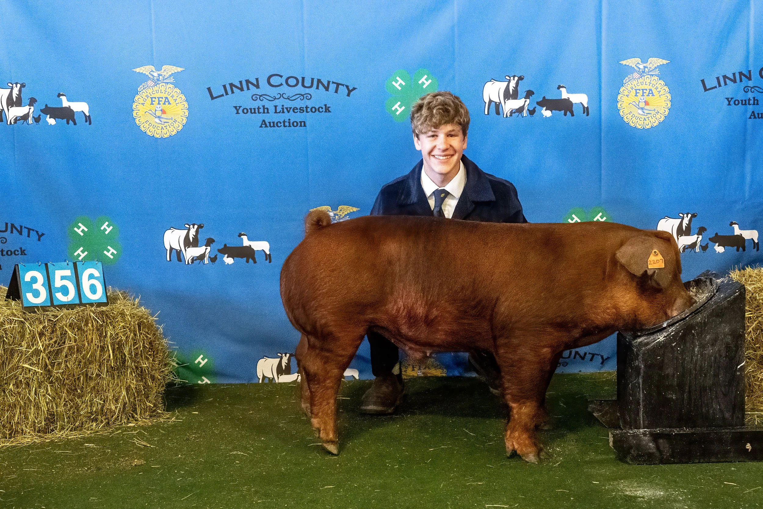 Swine 356 (9345).jpg