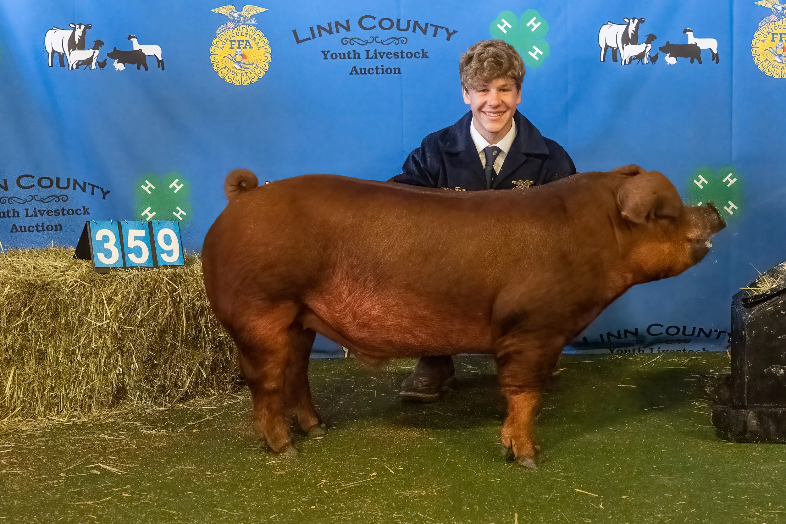 Swine 359 (9702).jpg