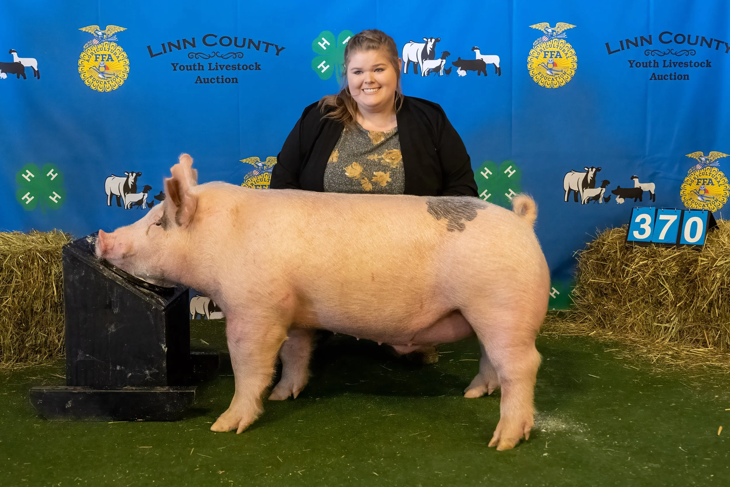 Swine 370 (9237).jpg