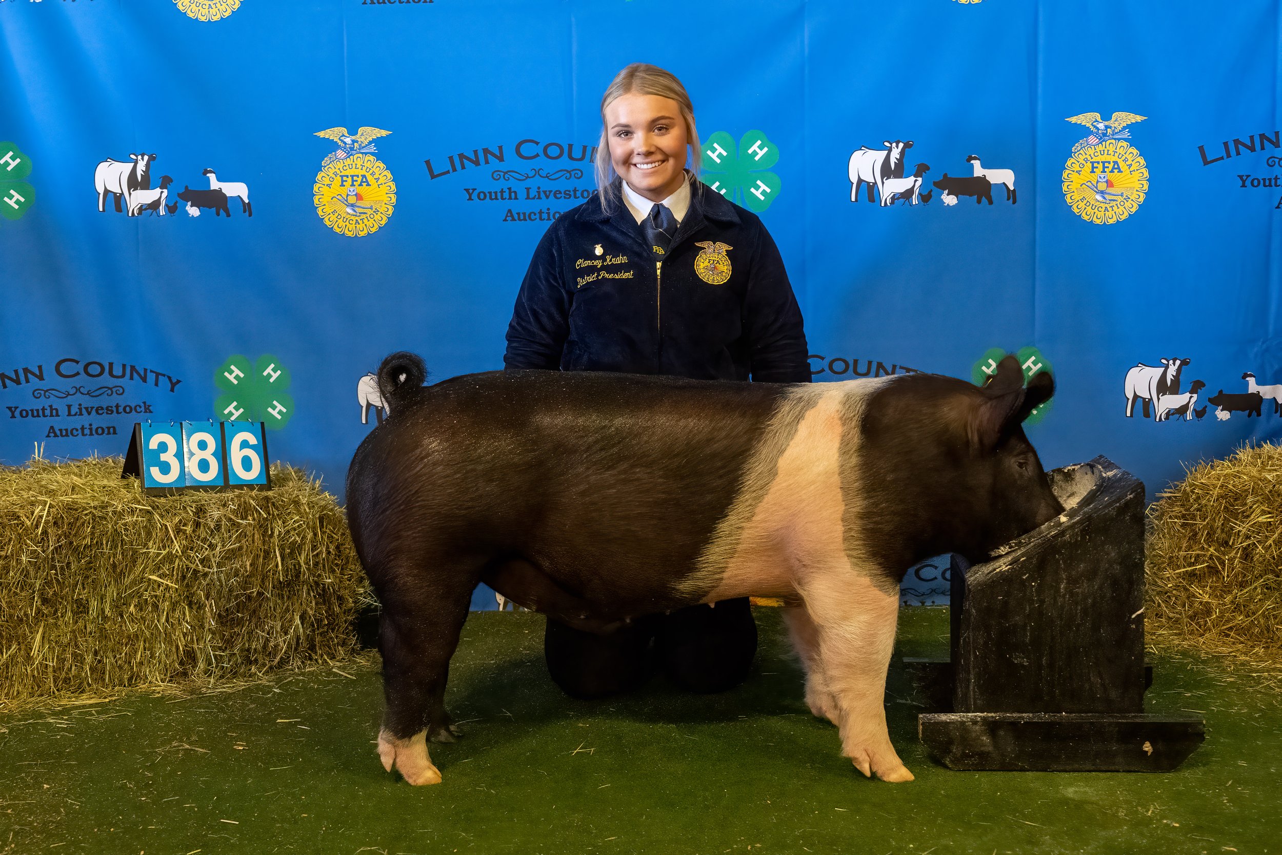 Swine 386 (9389).jpg