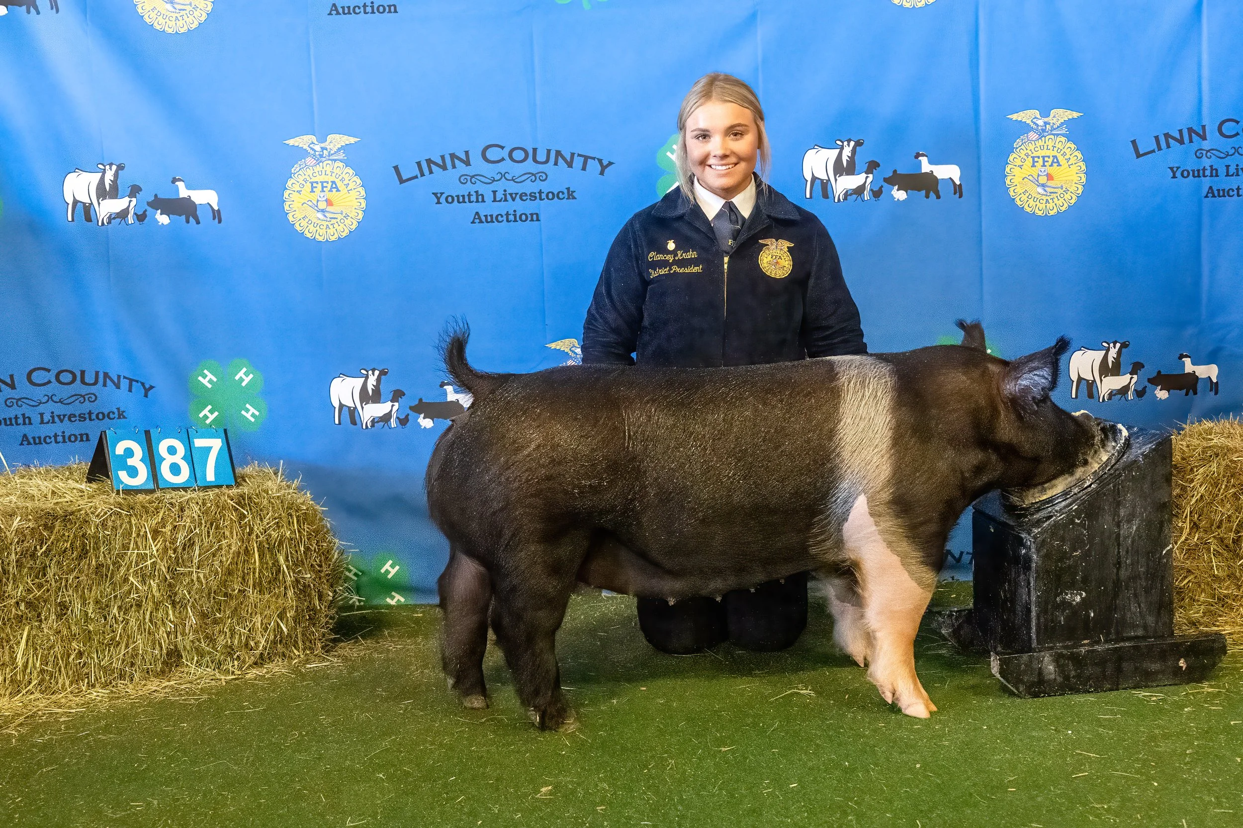 Swine 387 (9735).jpg