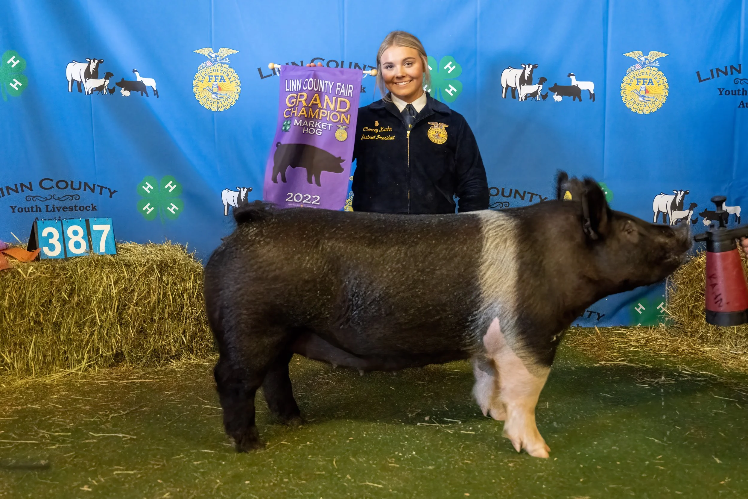 Swine 387 (9952).jpg