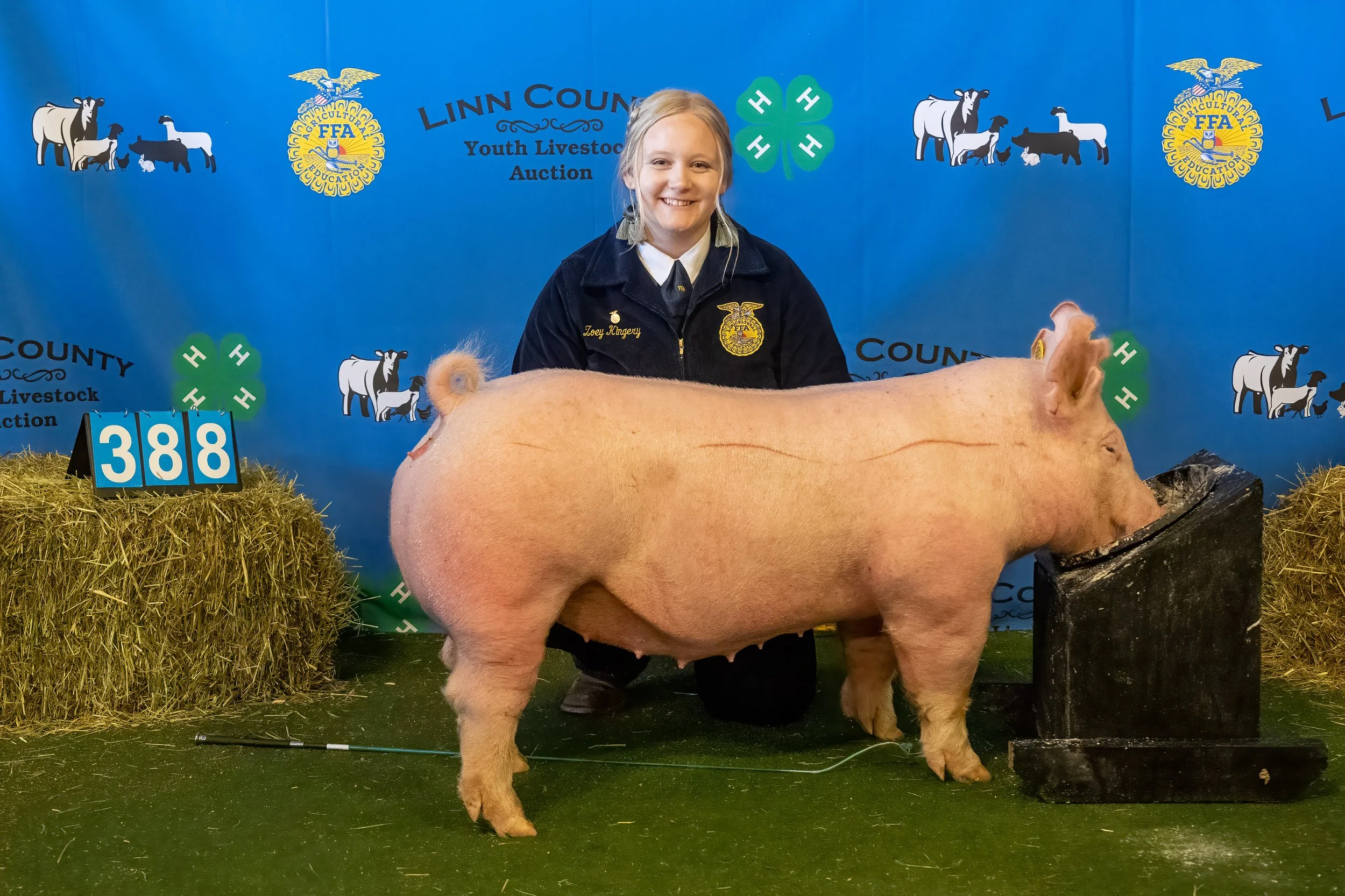 Swine 388 (9340).jpg