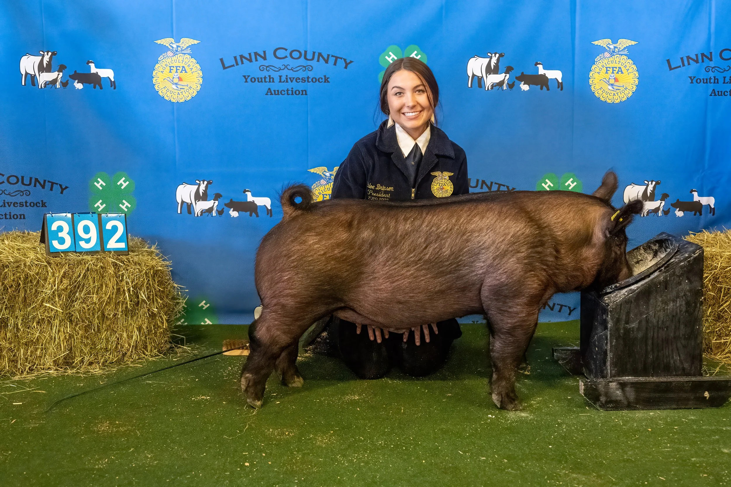 Swine 392 (9066).jpg