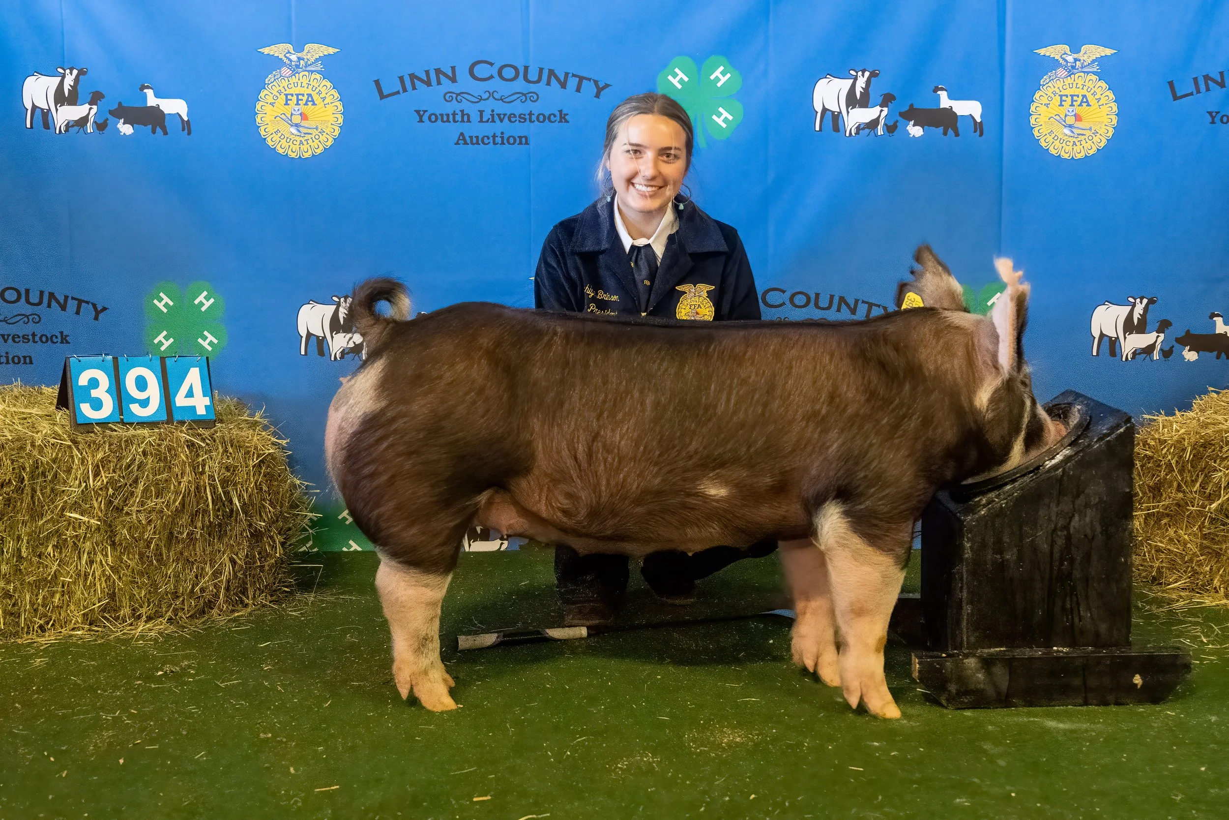 Swine 394 (9129).jpg