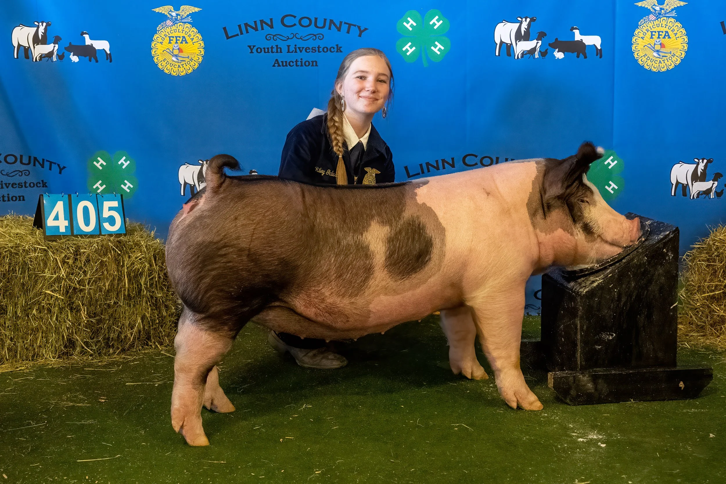 Swine 405 (9408).jpg