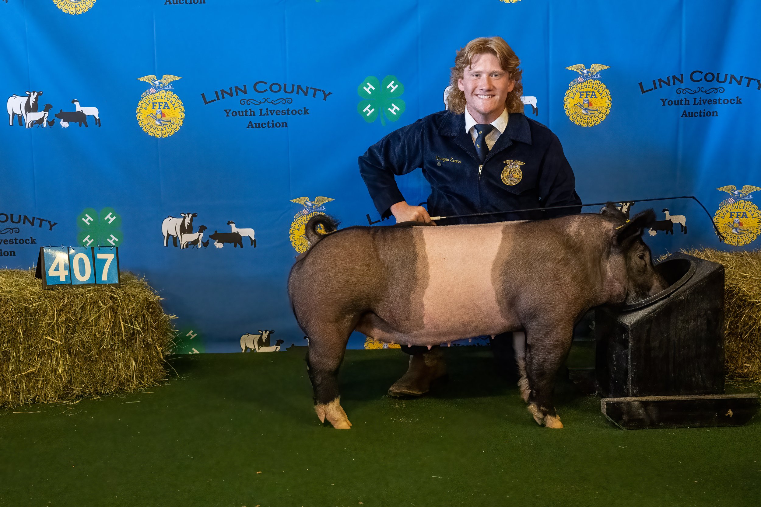 Swine 407 (8949).jpg