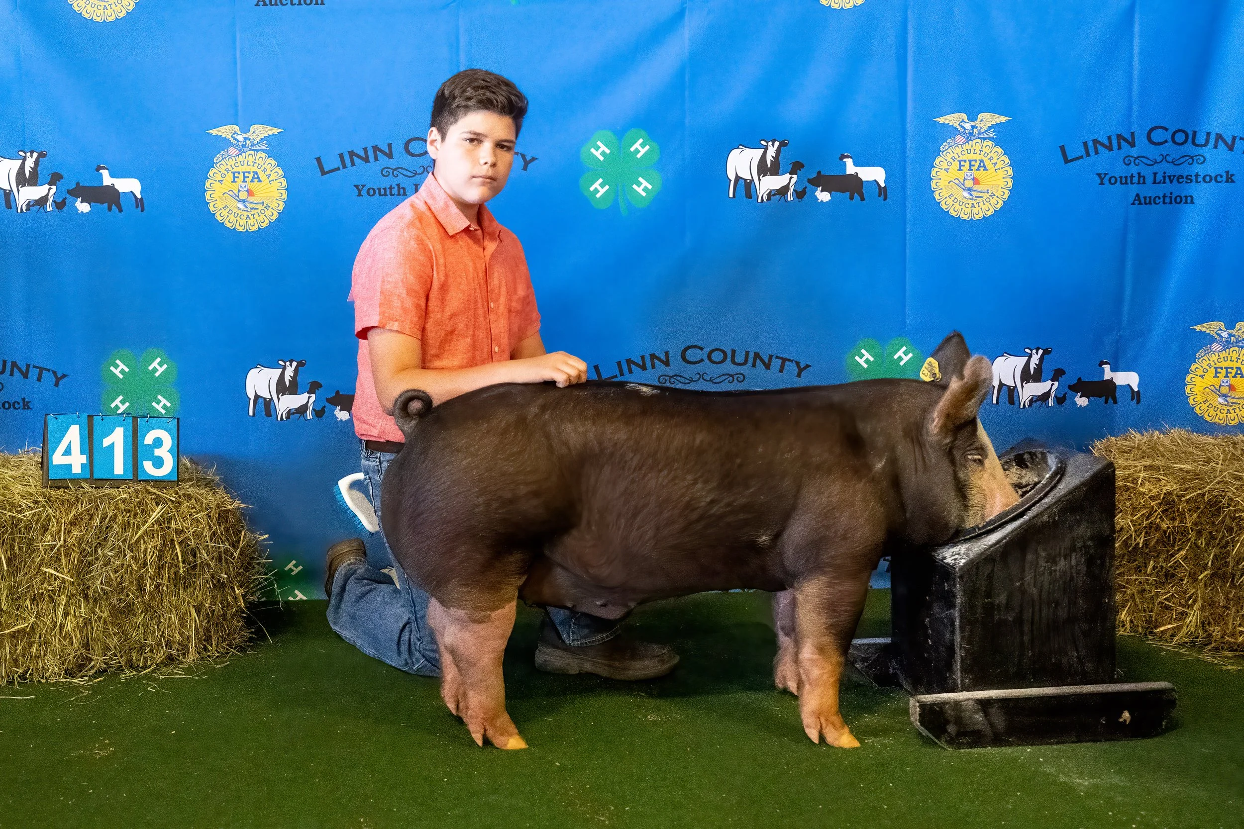 Swine 413 (8968).jpg