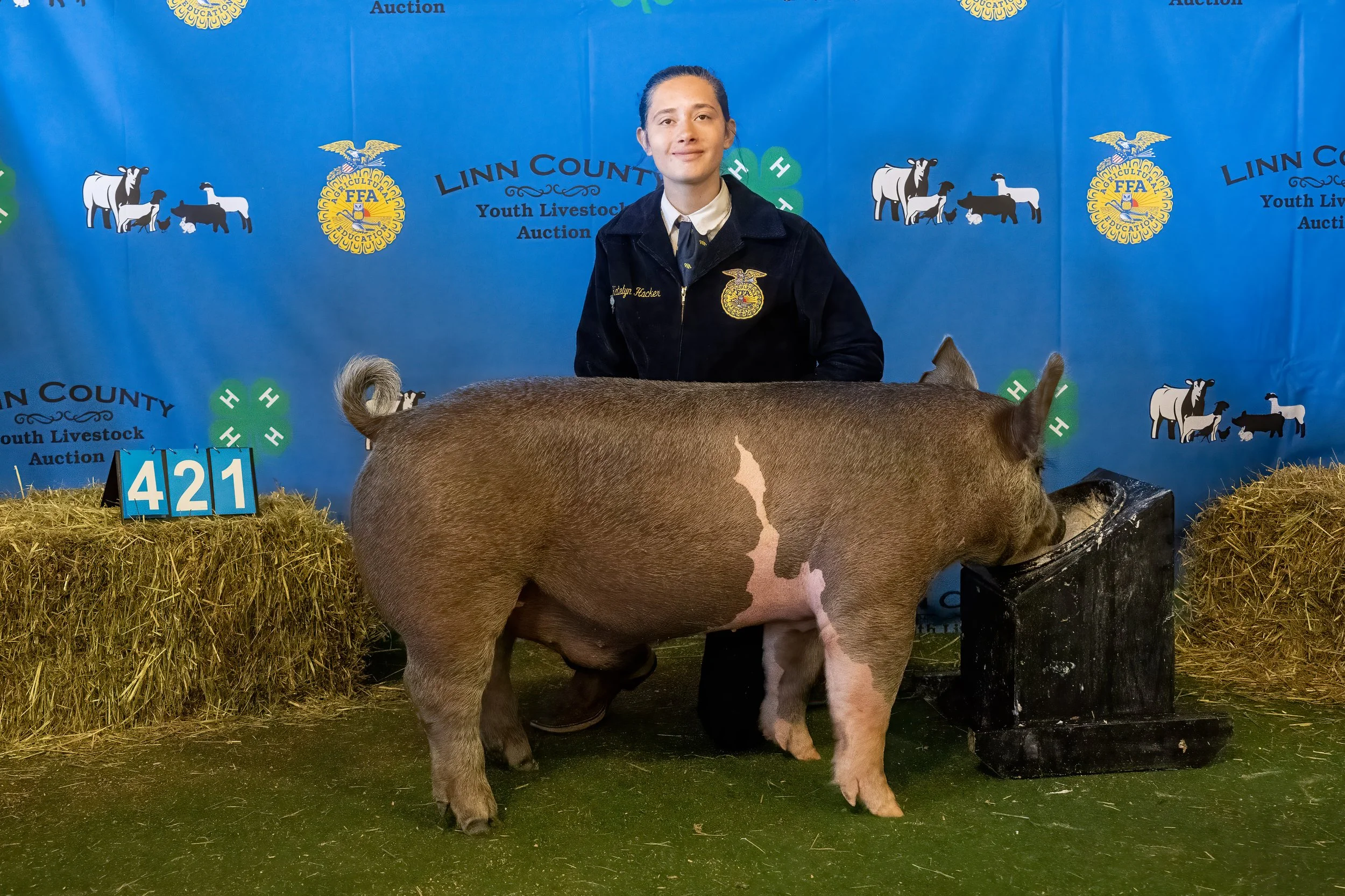 Swine 421 (9785).jpg