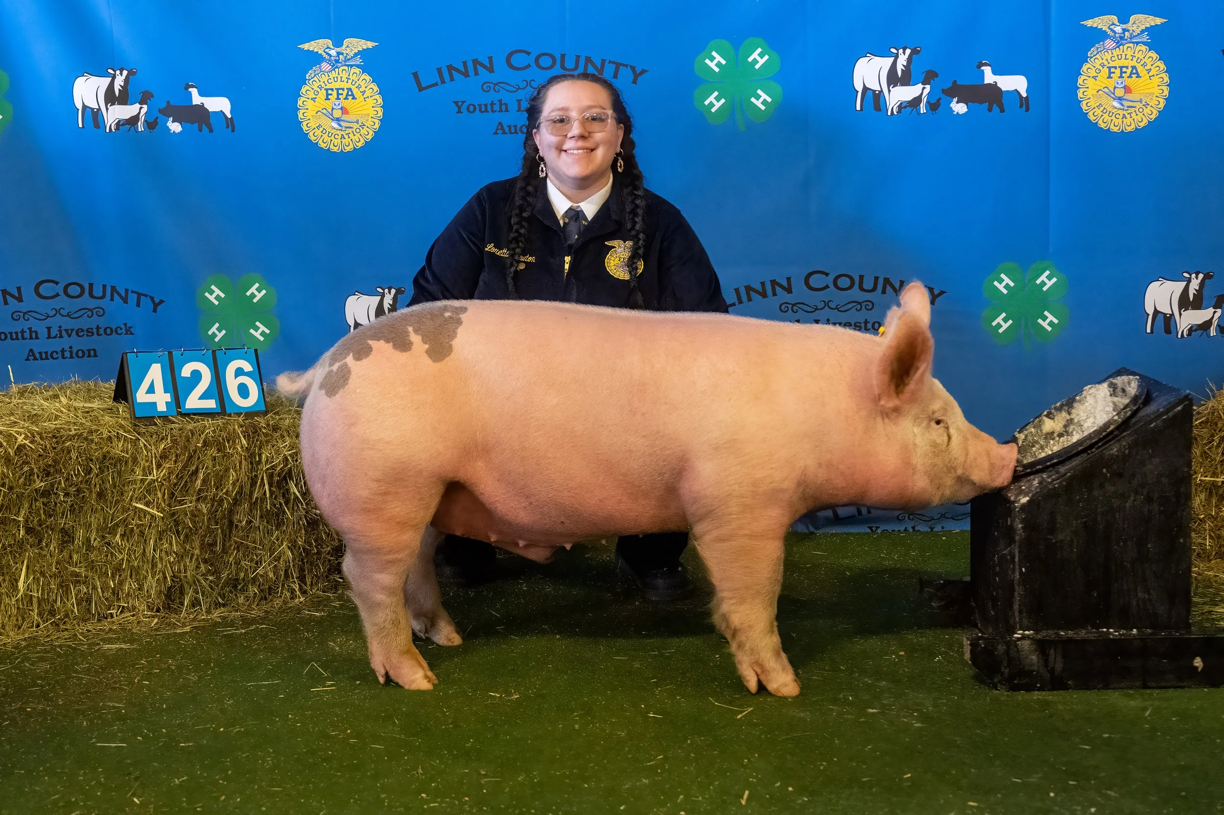 Swine 426 (9215).jpg