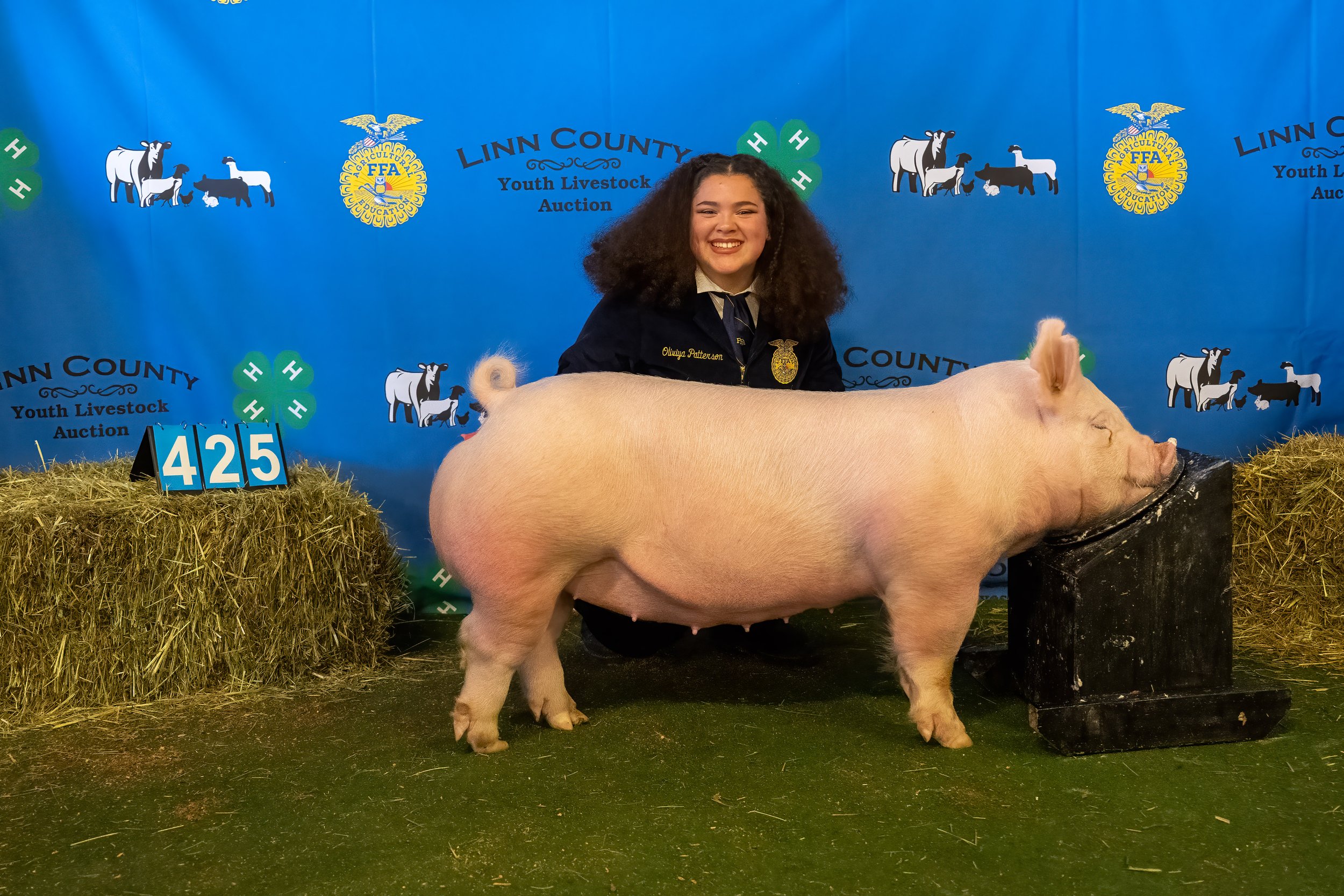 Swine 425 (9804).jpg