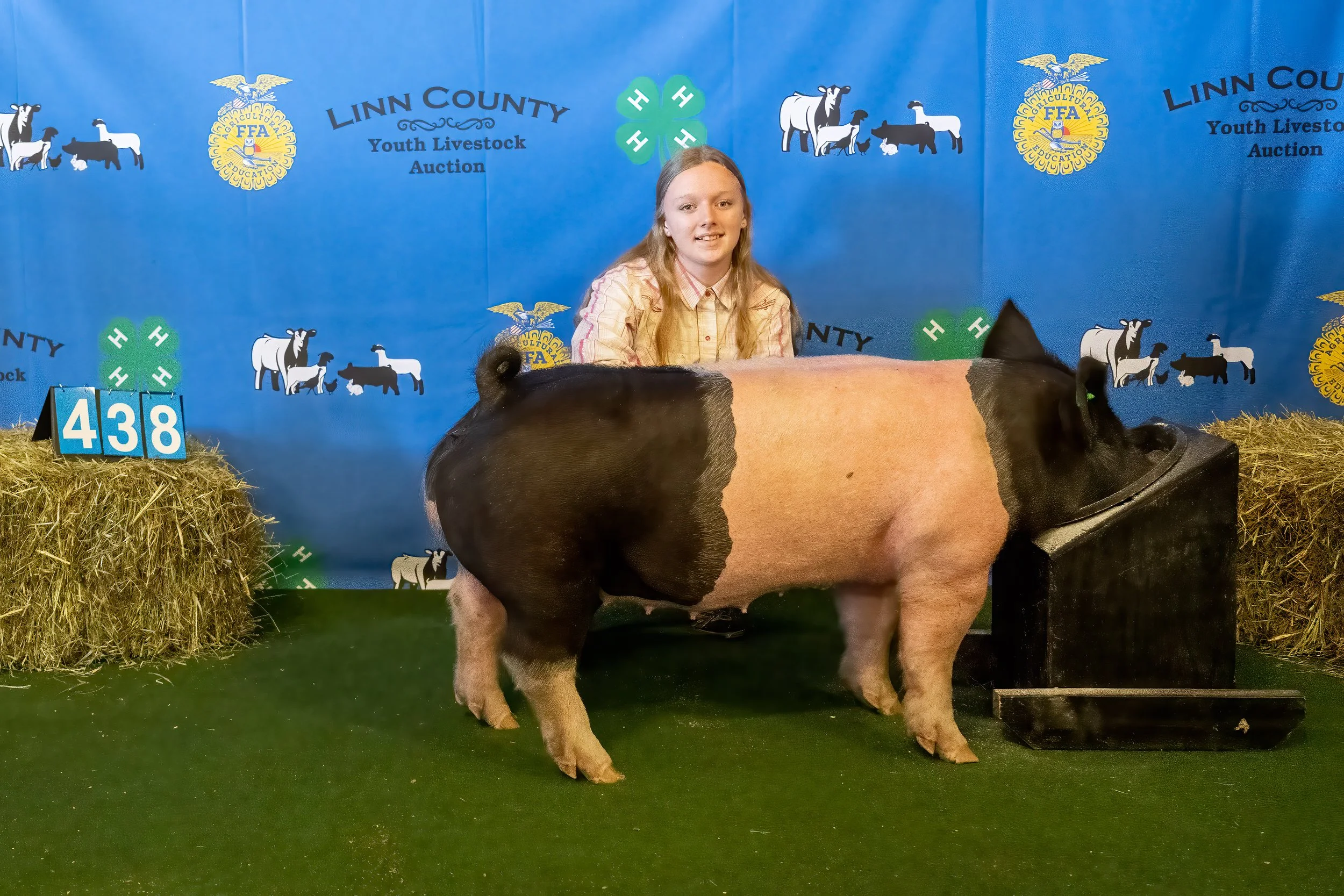 Swine 438 (8952).jpg