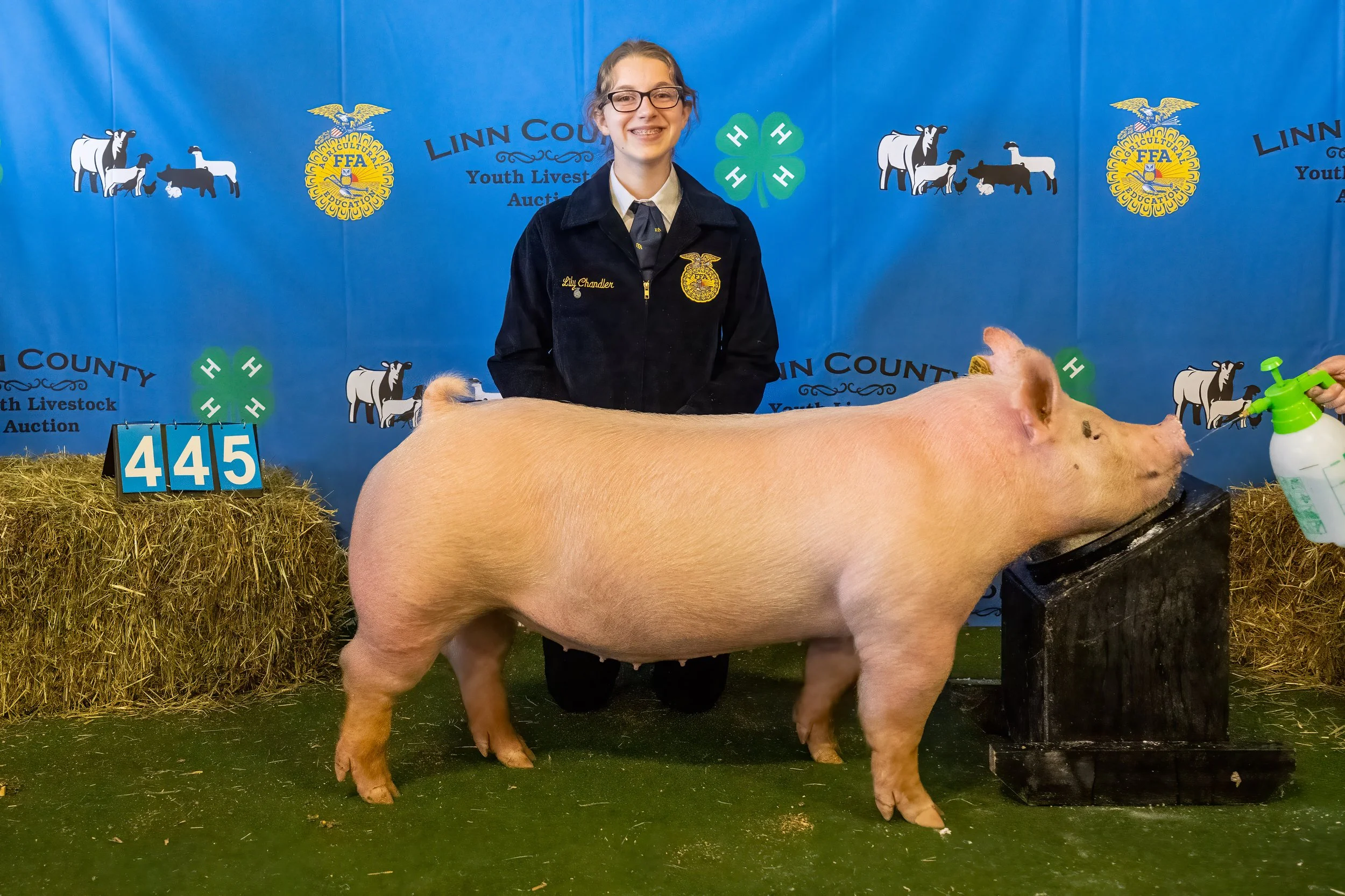 Swine 445 (9119).jpg