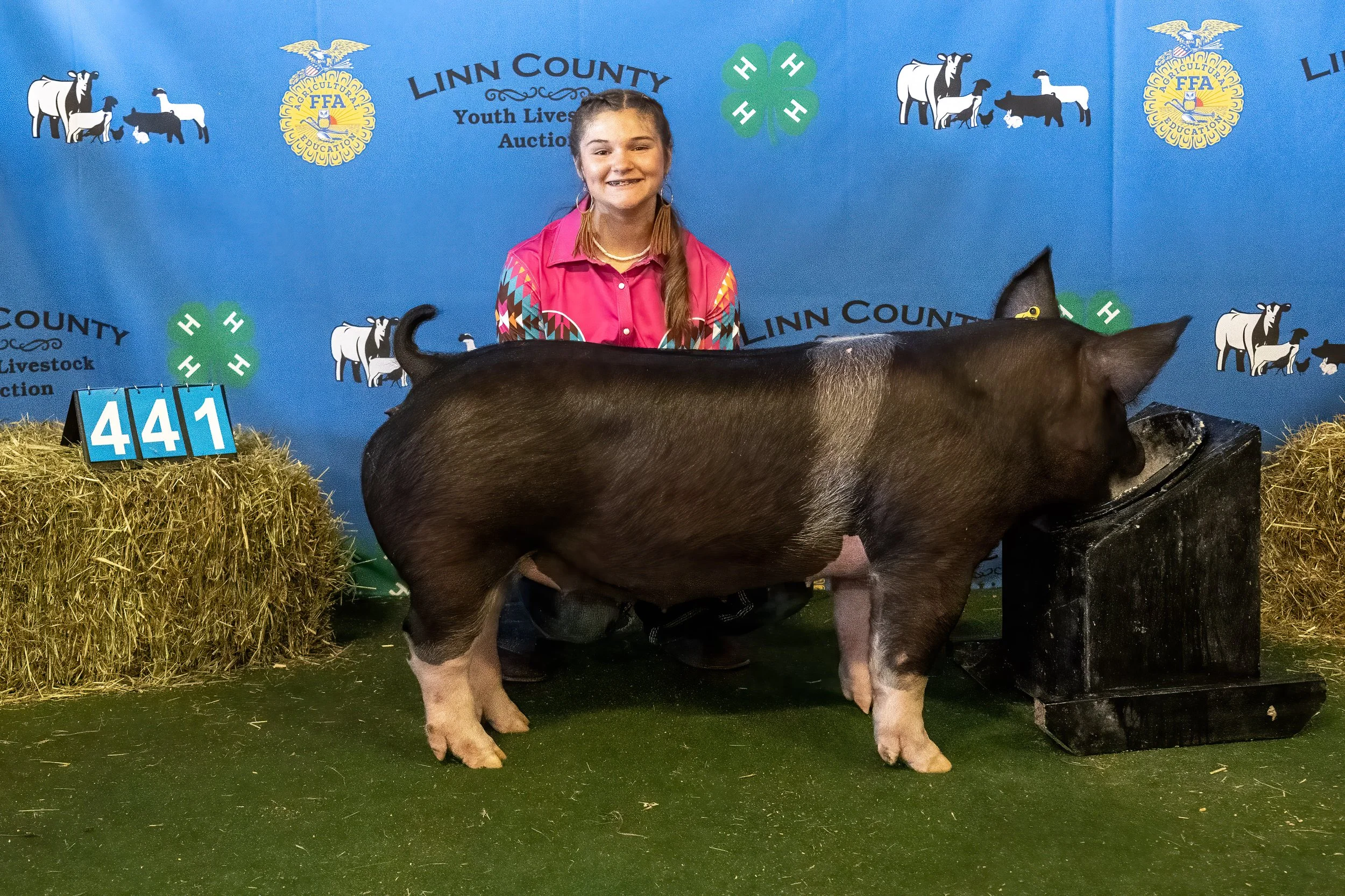Swine 441 (9292).jpg
