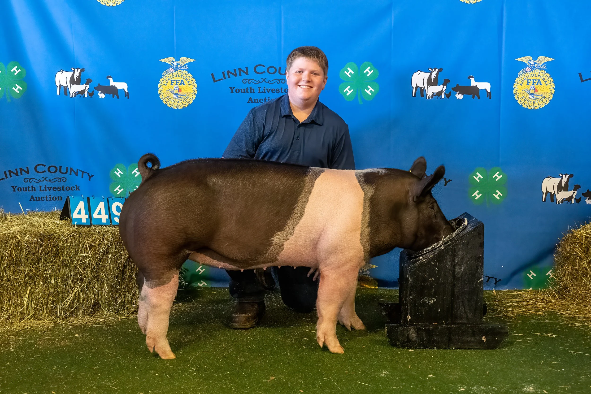 Swine 449 (9757).jpg