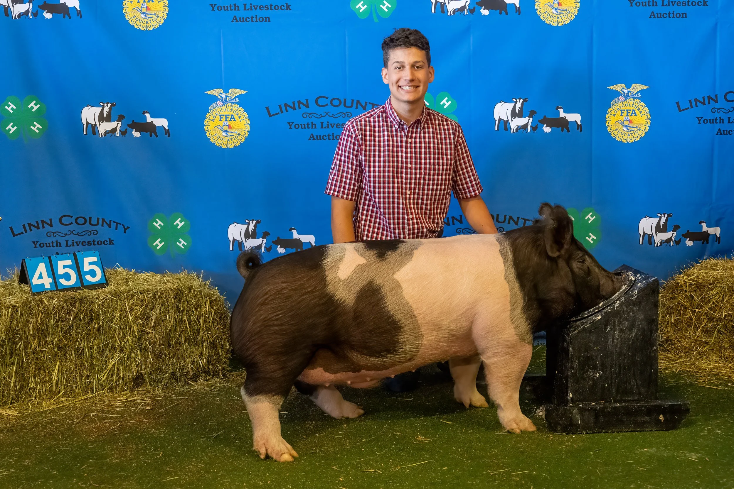 Swine 455 (9864).jpg