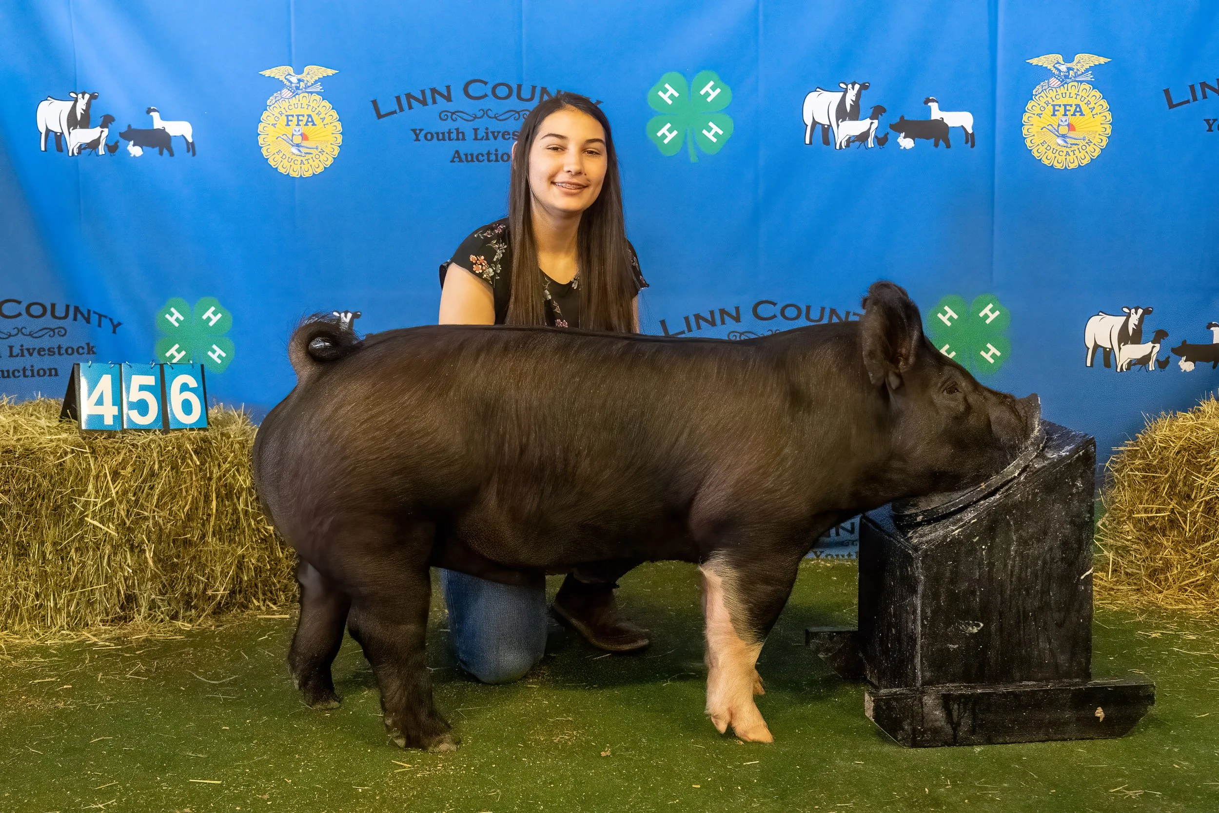 Swine 456 (9511).jpg