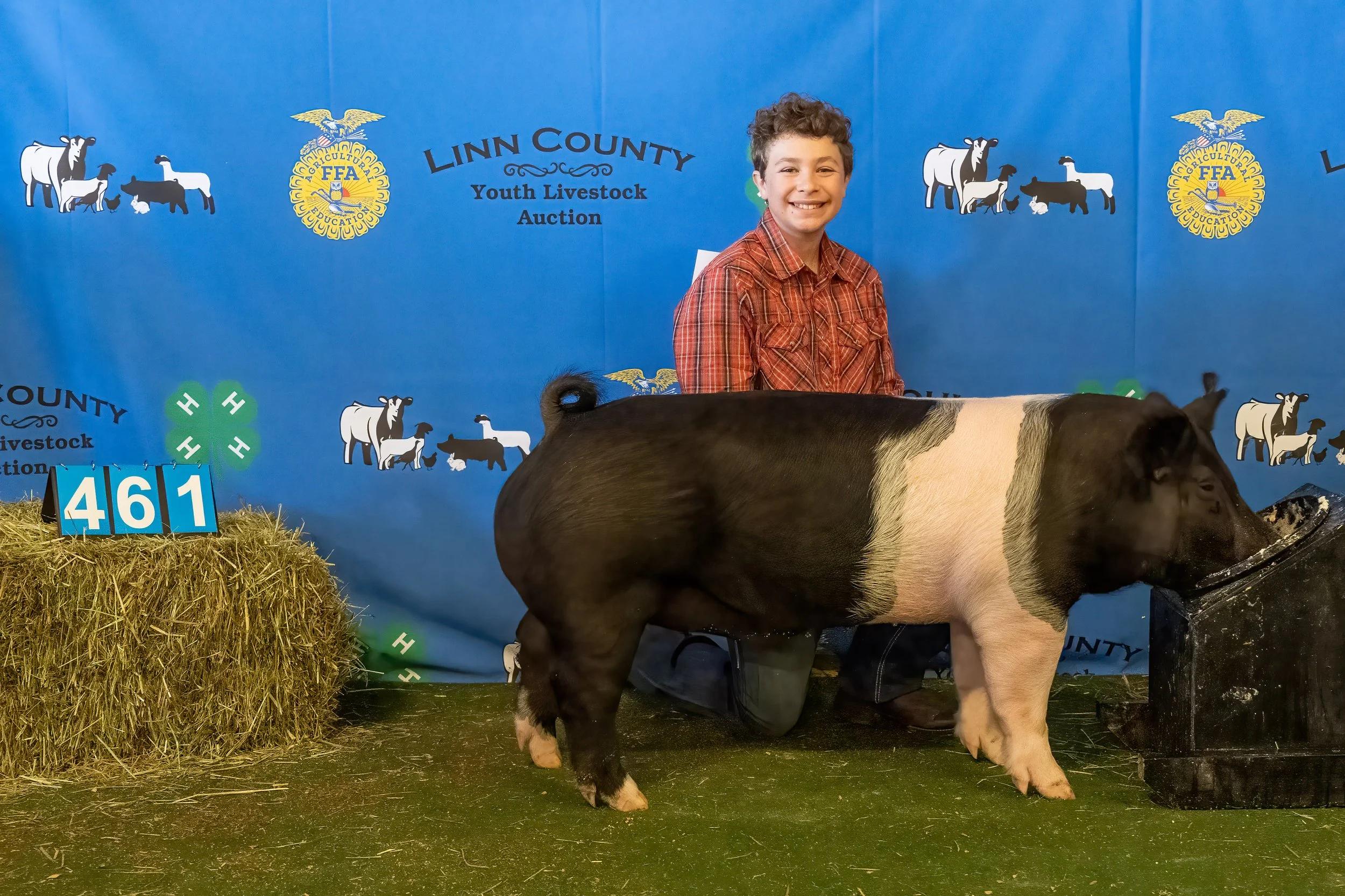 Swine 461 (9667).jpg