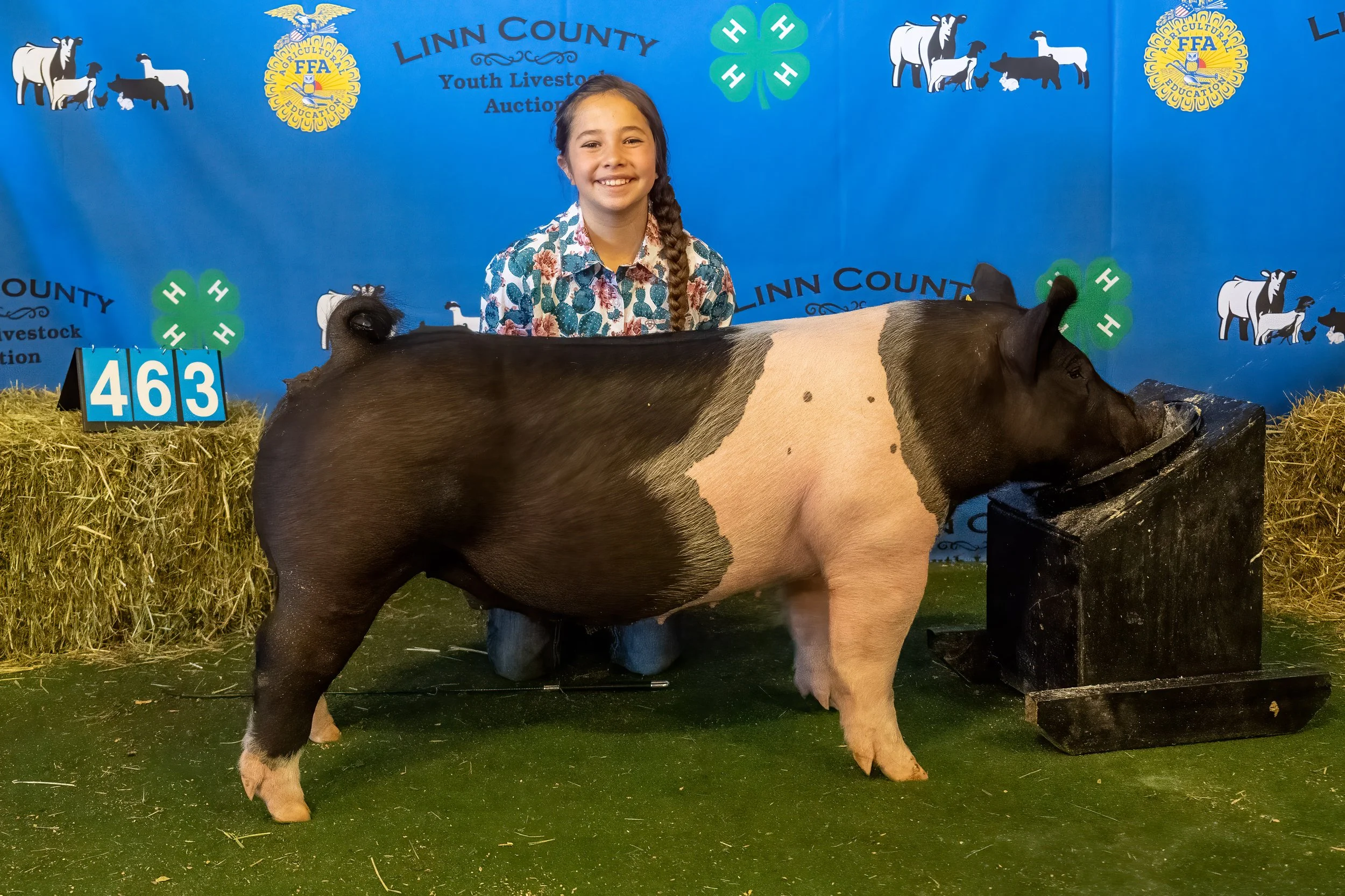 Swine 463 (9379).jpg