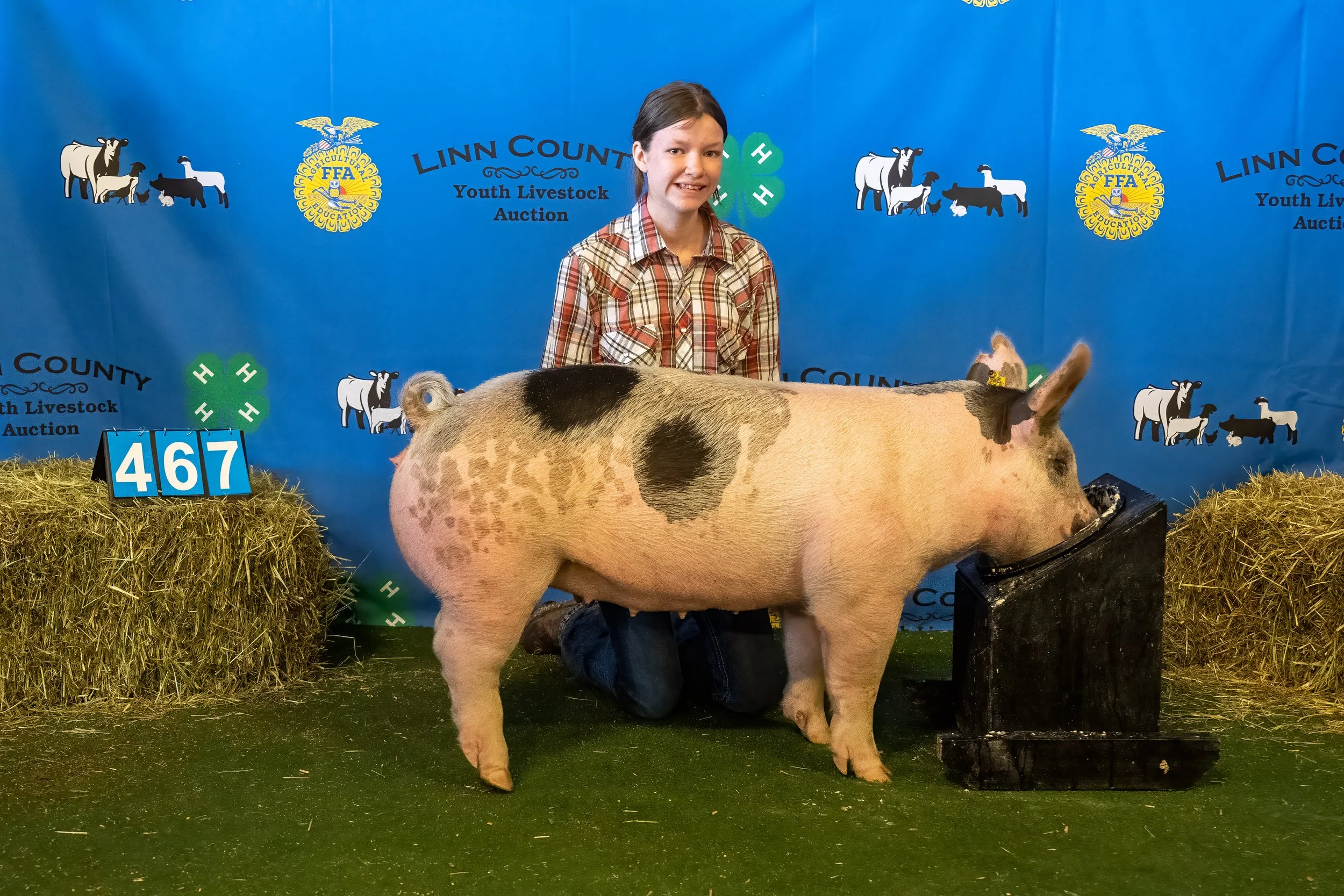 Swine 467 (9204).jpg