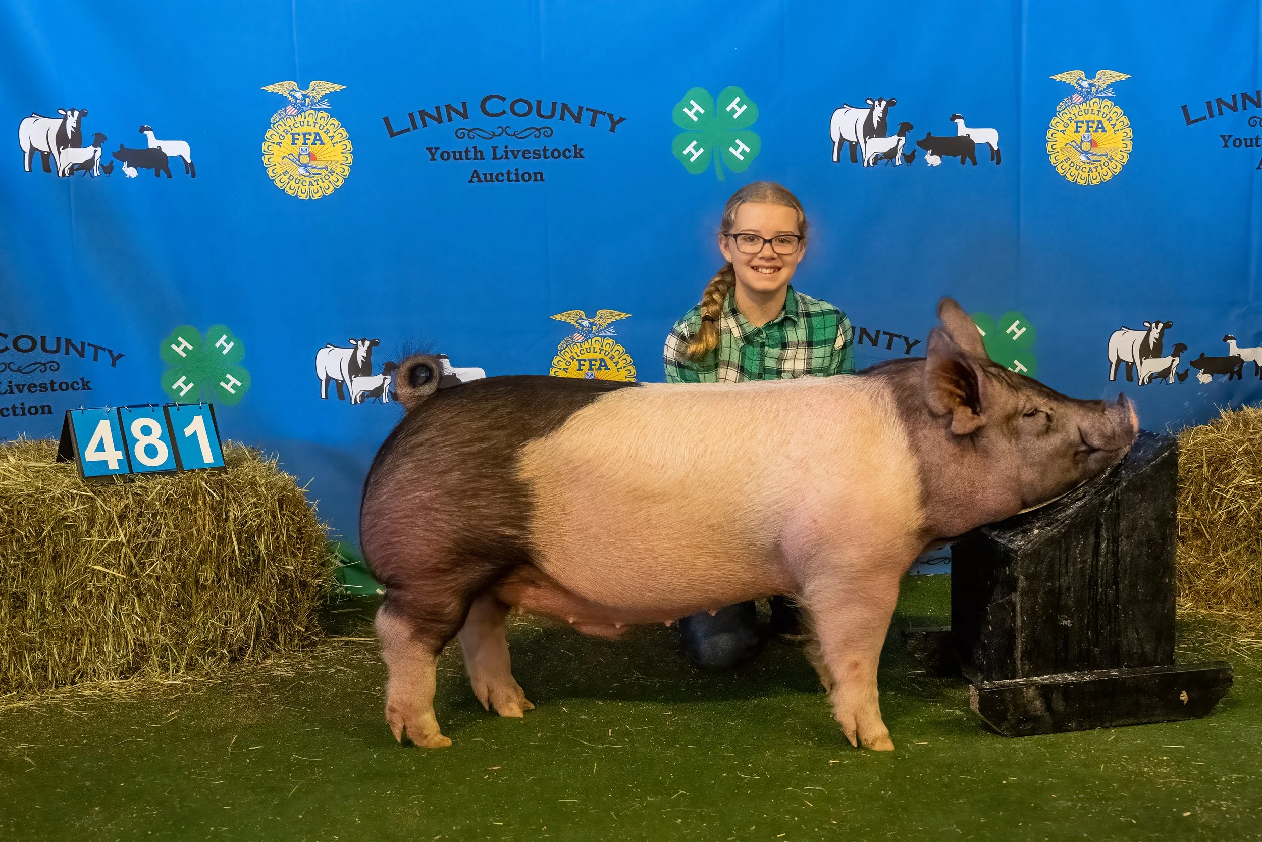 Swine 481 (9291).jpg
