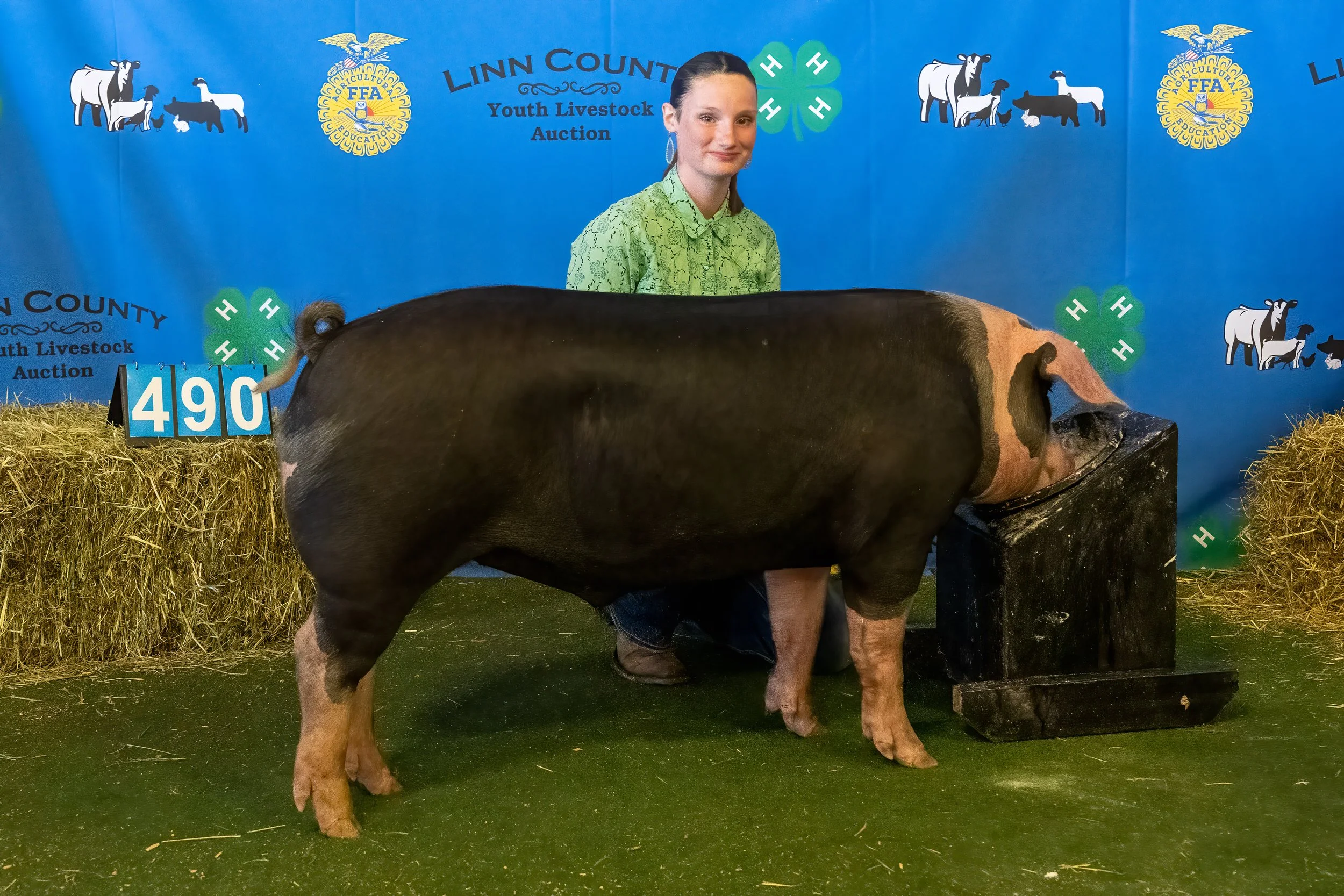 Swine 490 (9419).jpg