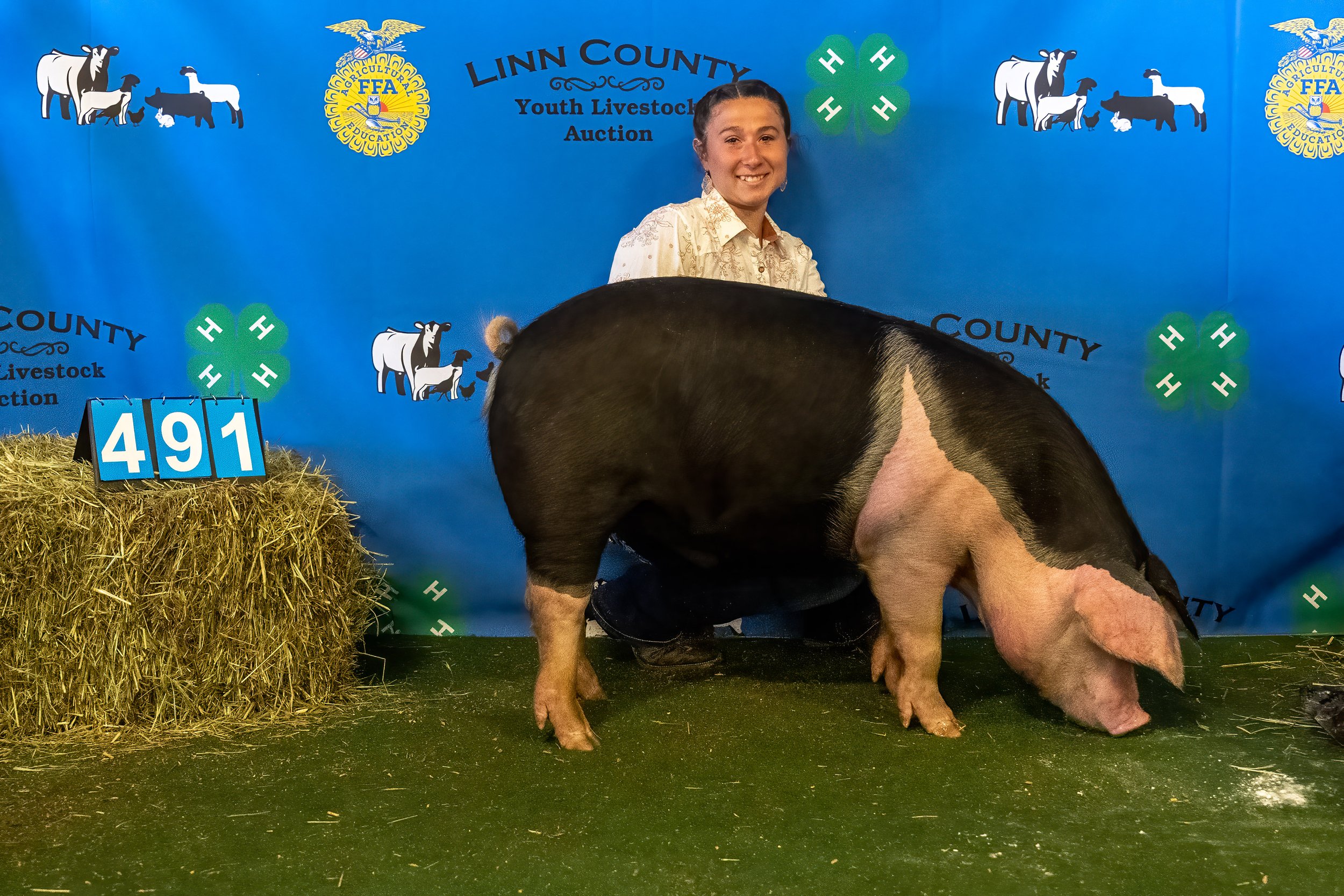 Swine 491 (9196).jpg