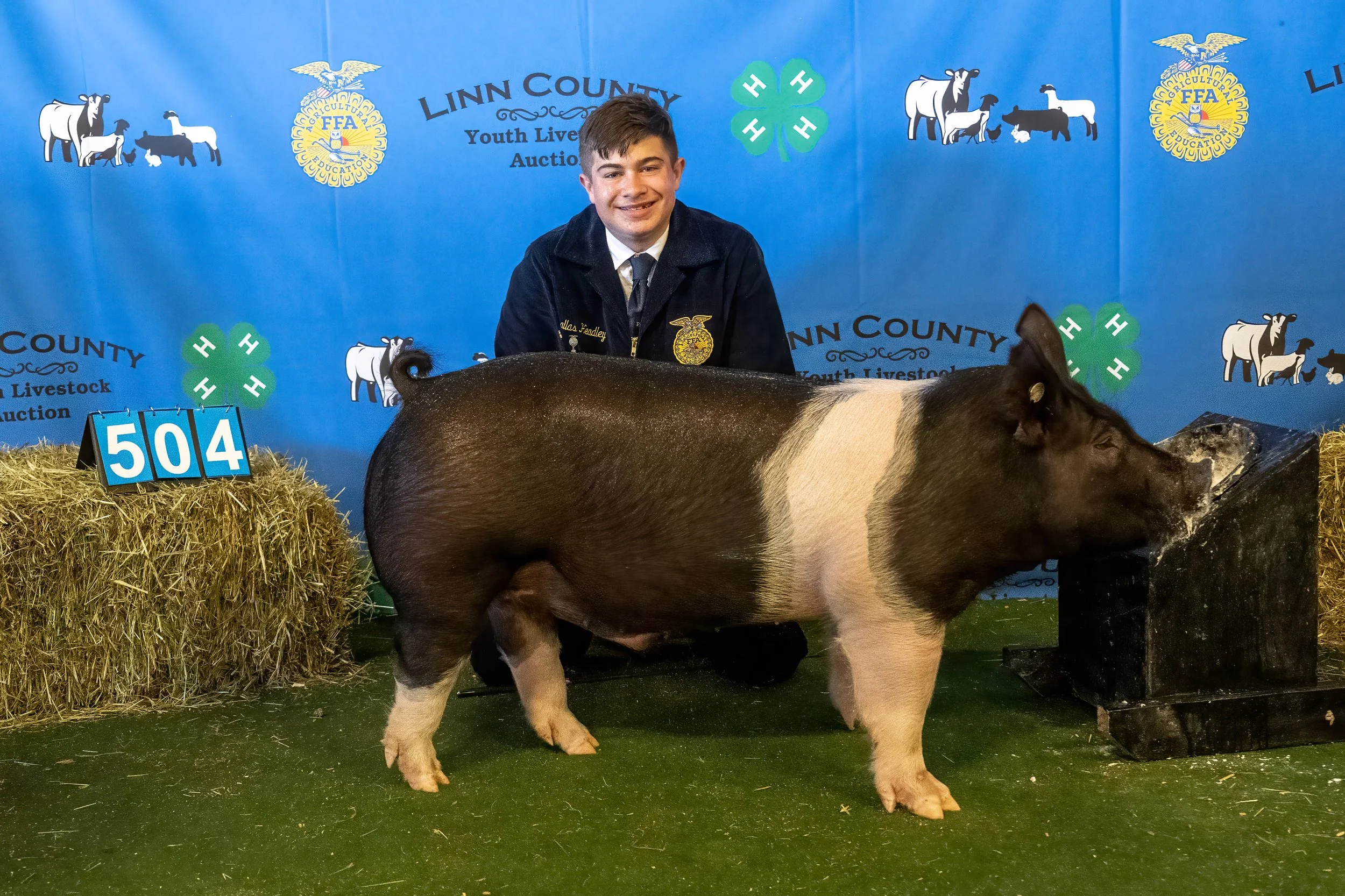 Swine 504 (9309).jpg