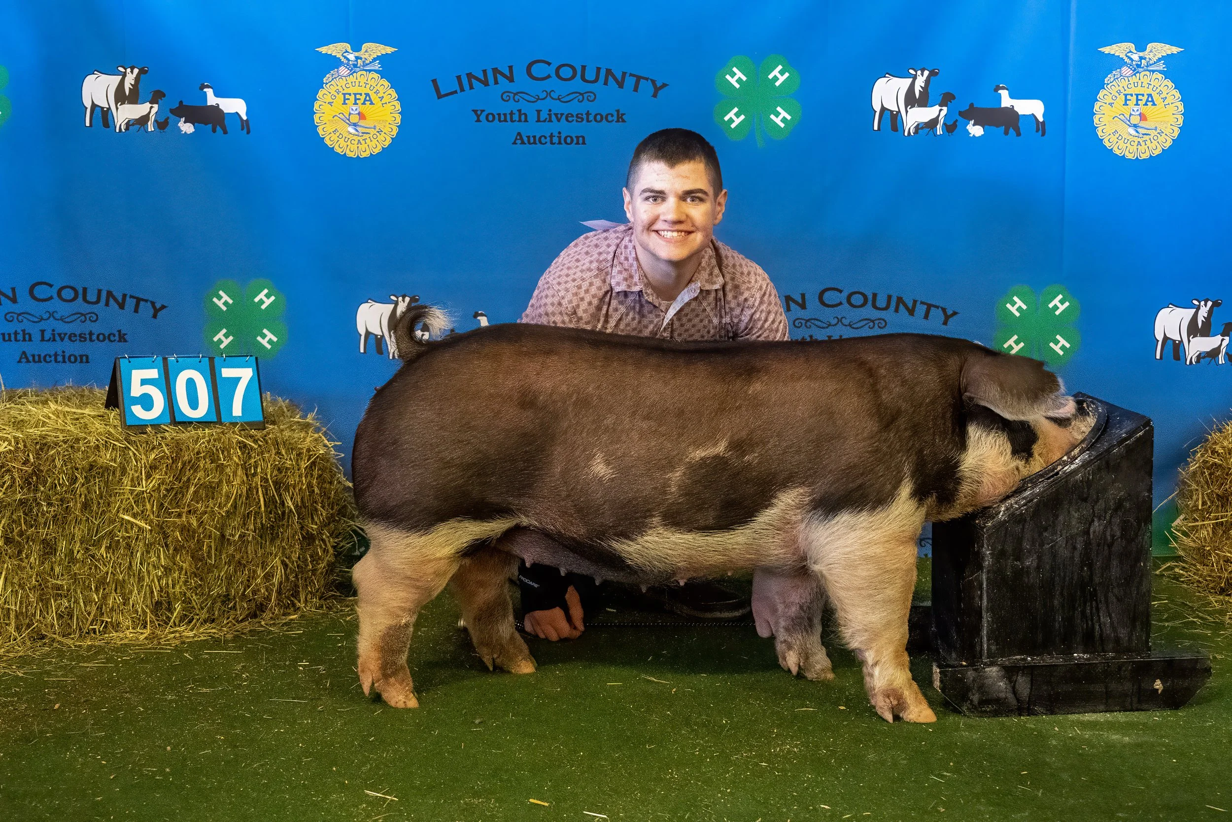 Swine 507 (9159).jpg