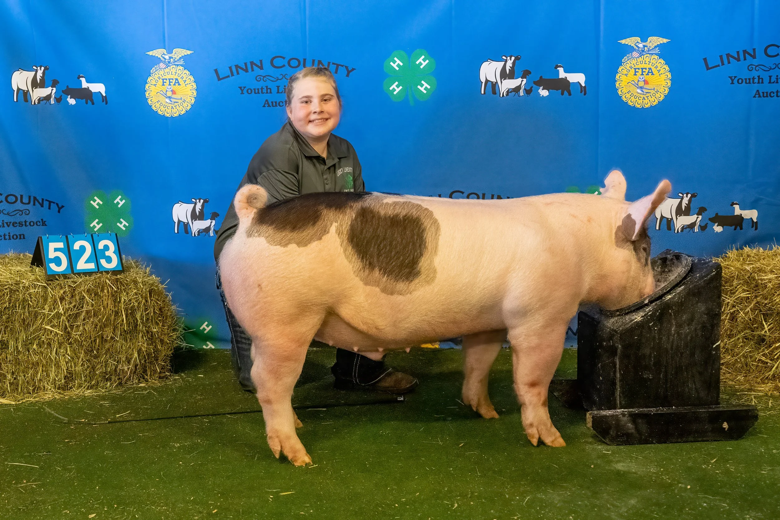 Swine 523 (9361).jpg