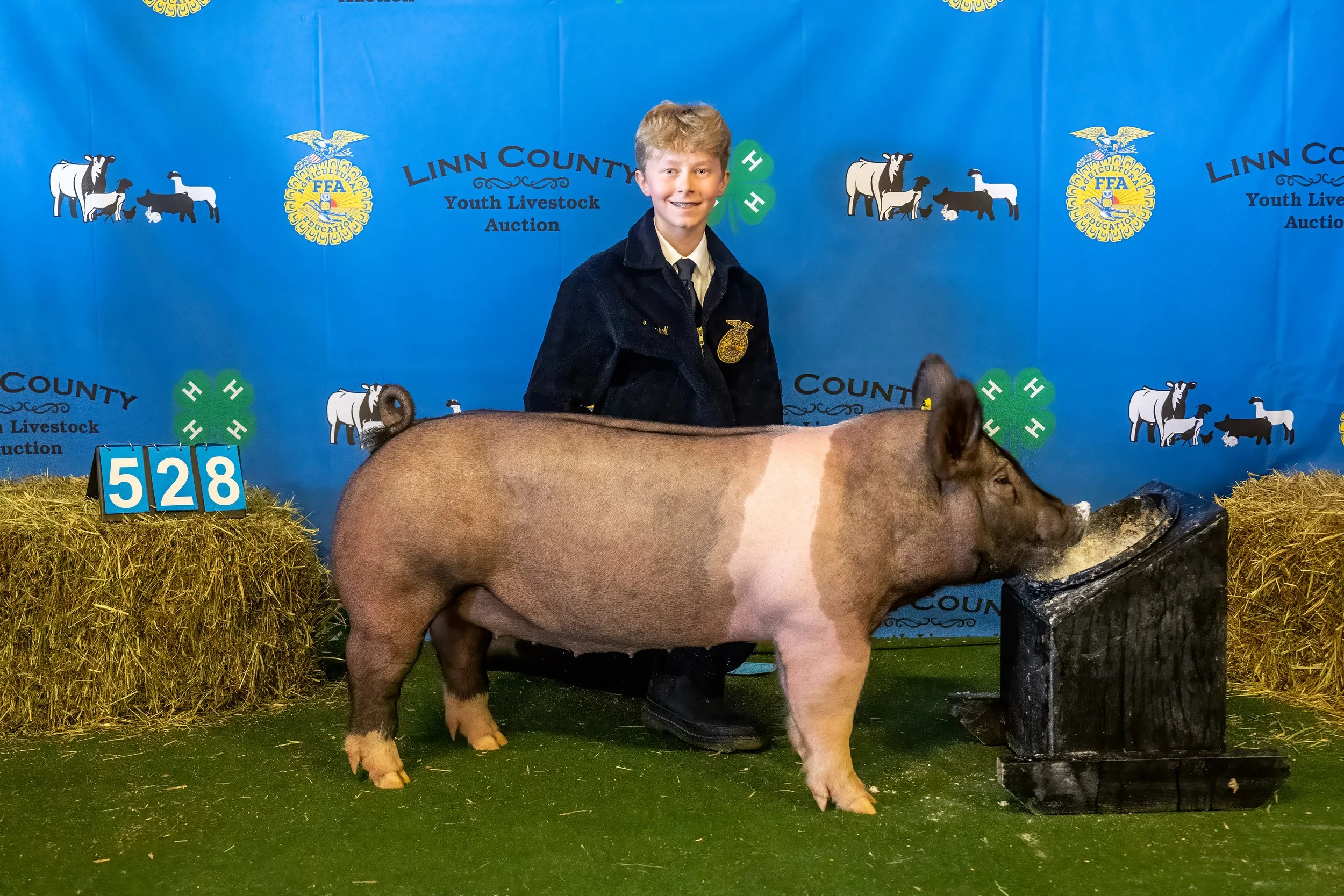 Swine 528 (9100).jpg