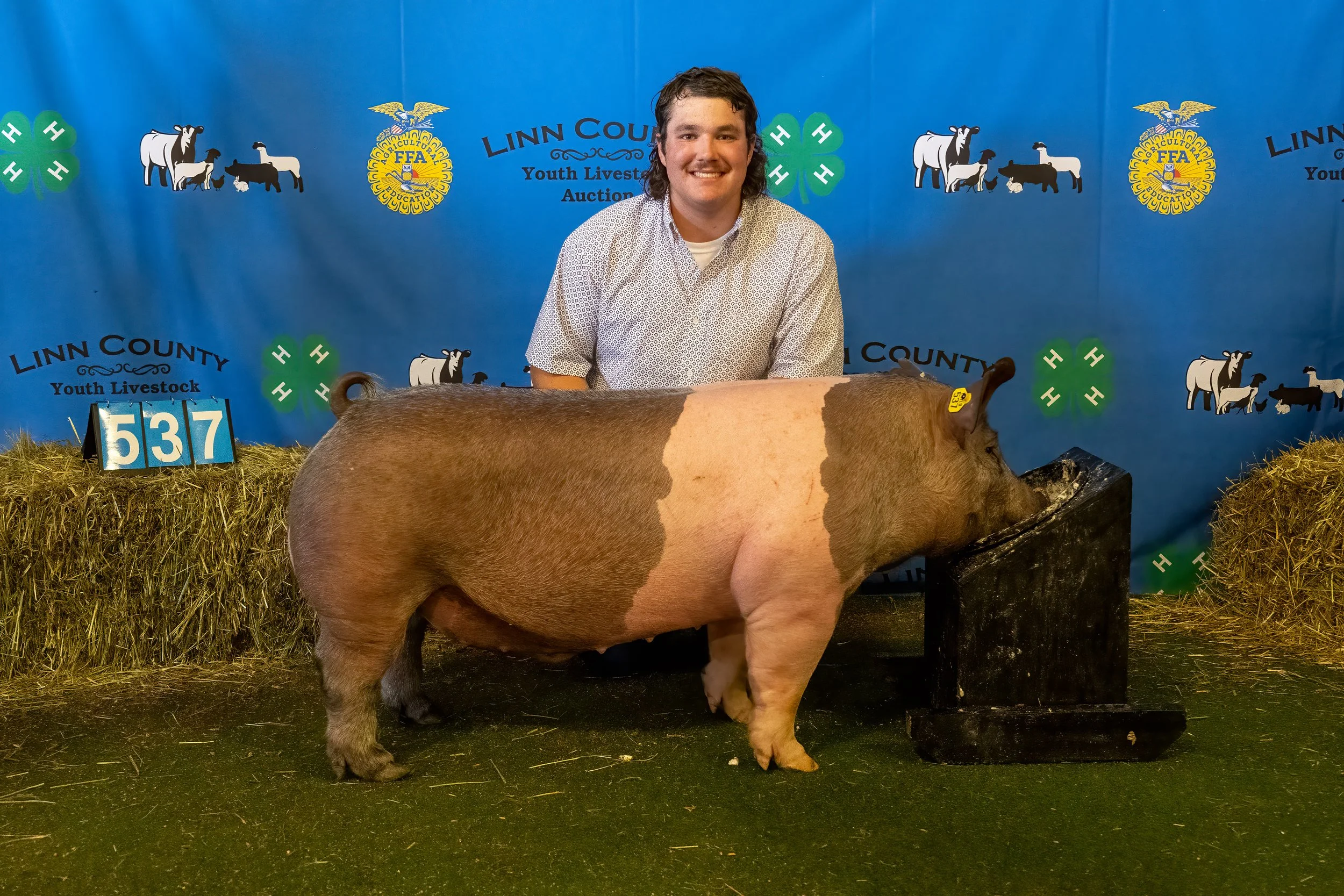 Swine 537 (9922).jpg