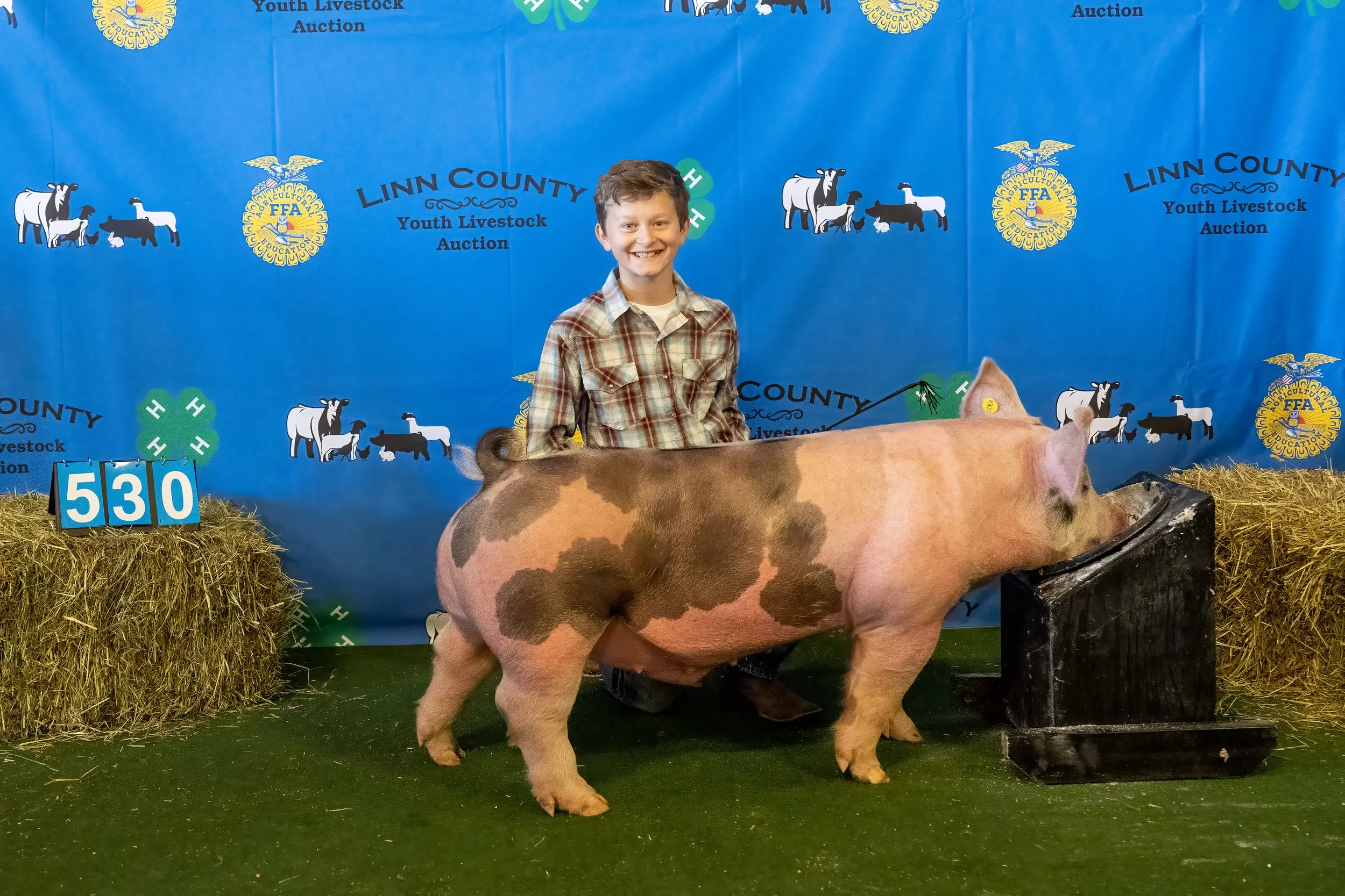 Swine 530 (9032).jpg