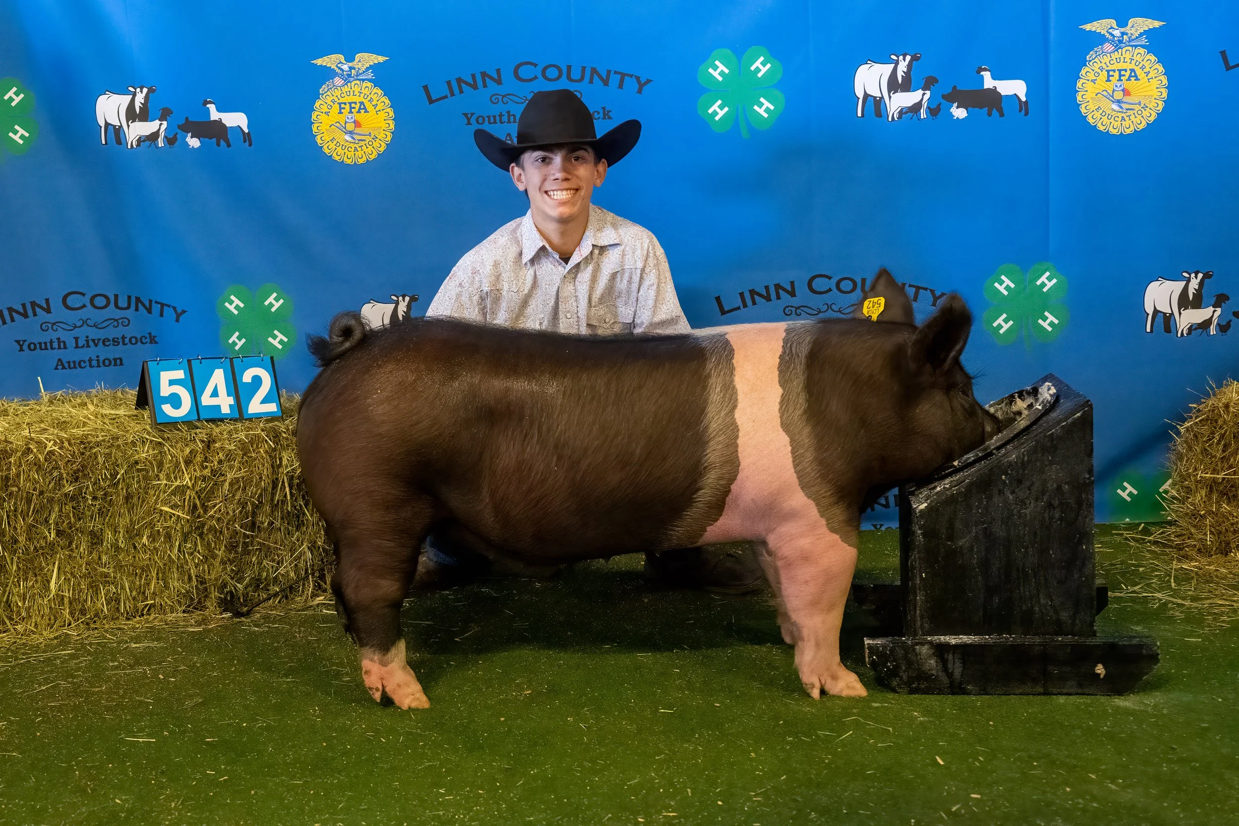 Swine 542 (9231).jpg