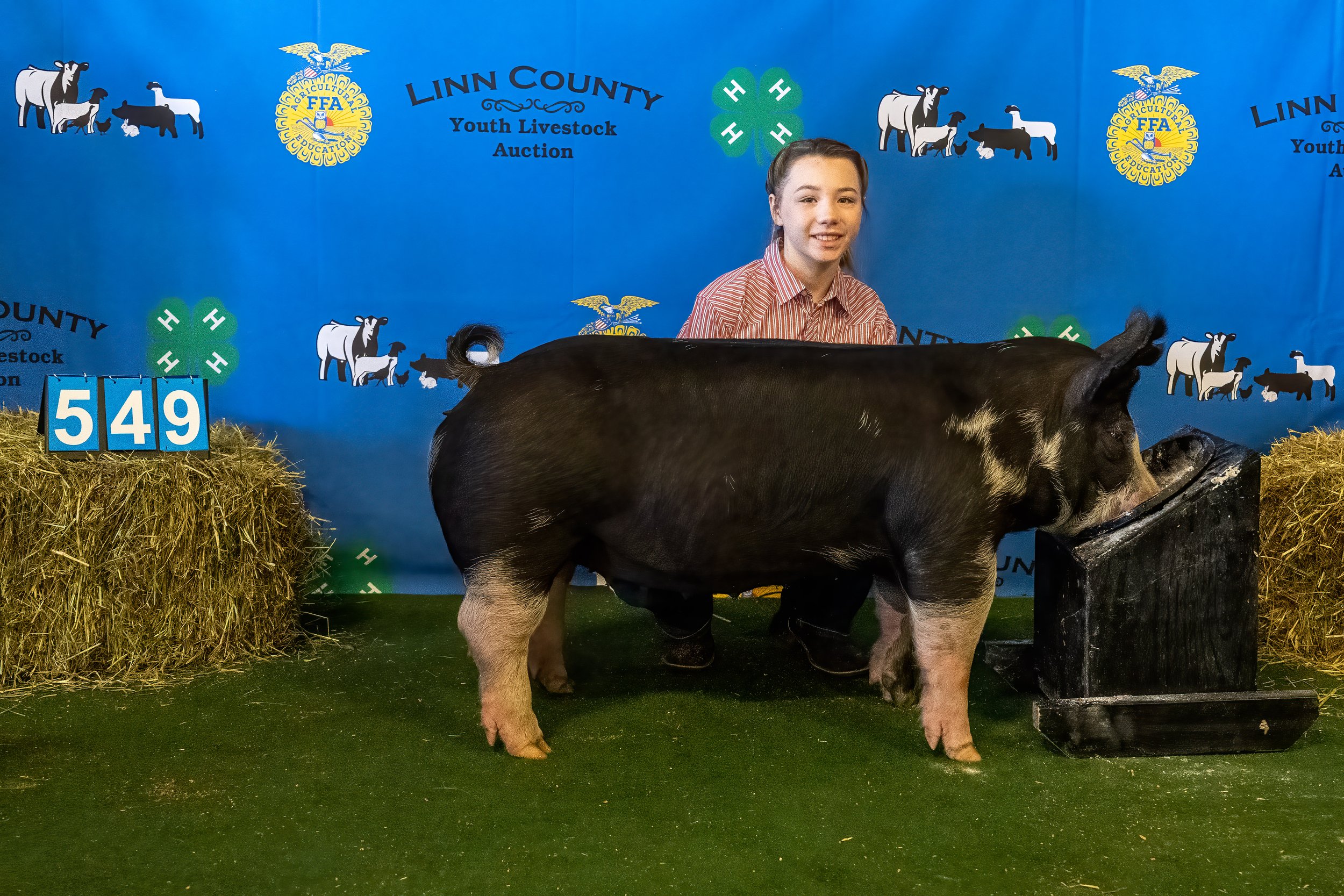 Swine 549 (9053).jpg