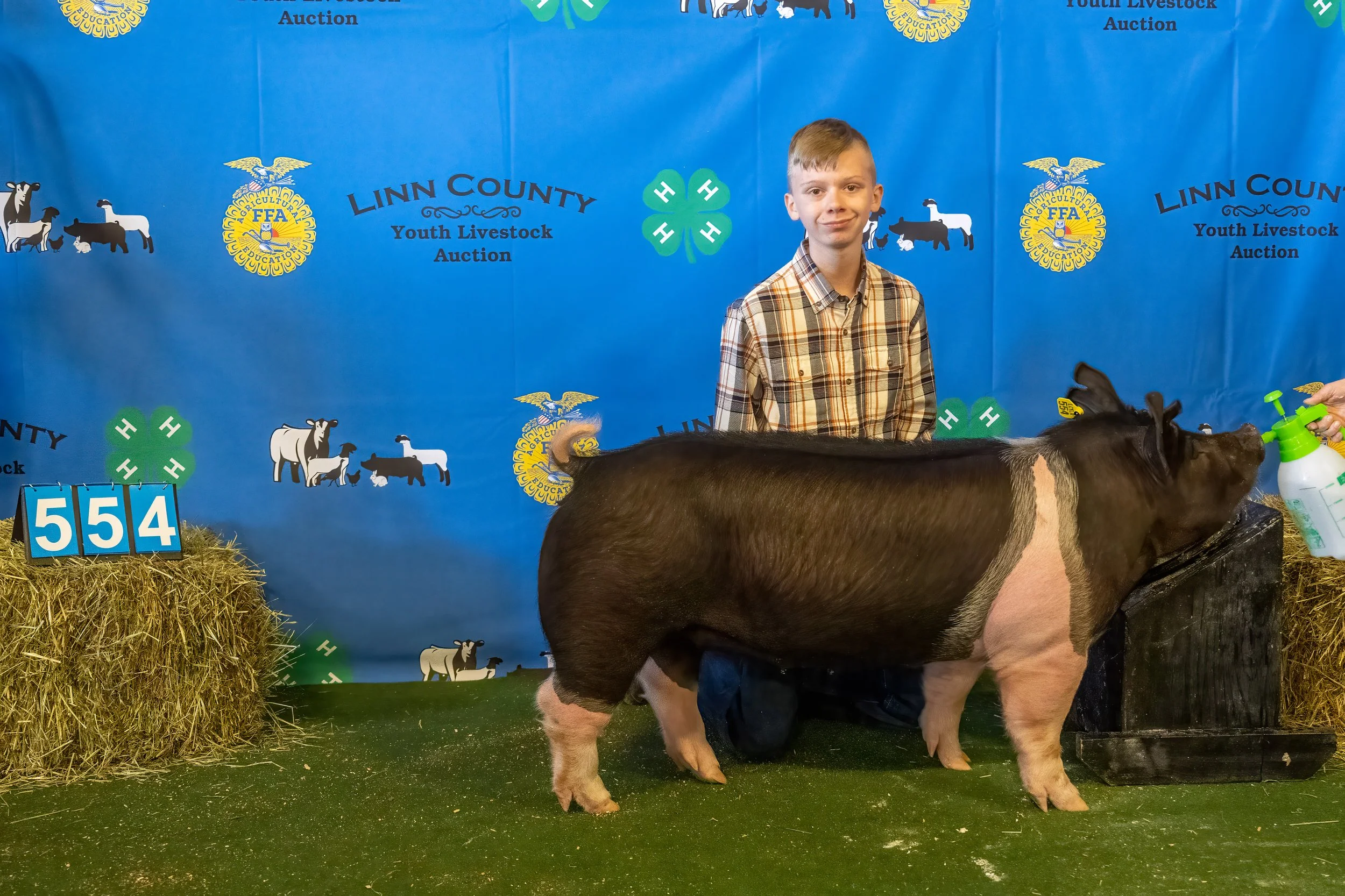 Swine 554 (9085).jpg