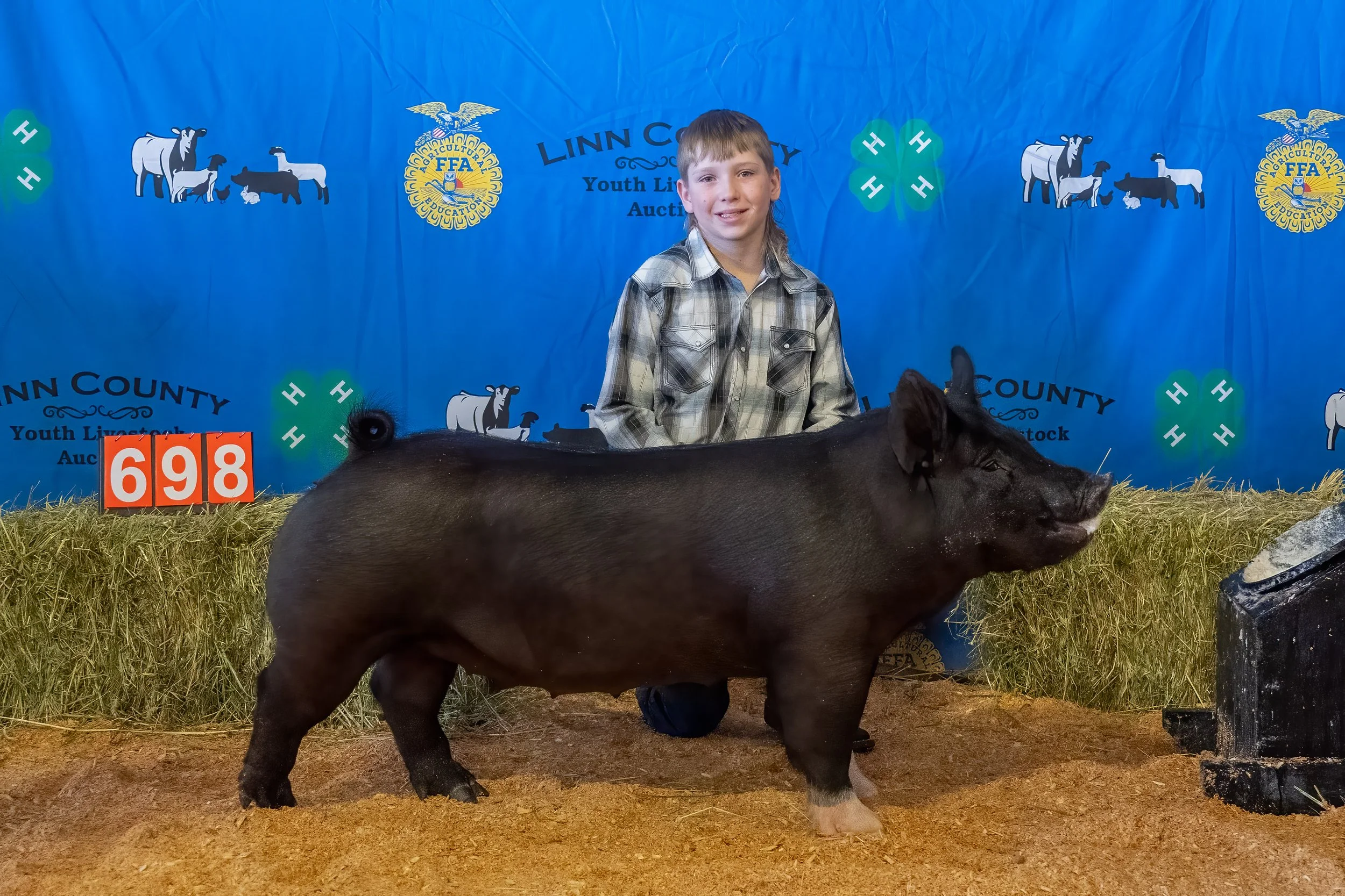 Swine 698 (1 of 1).jpg