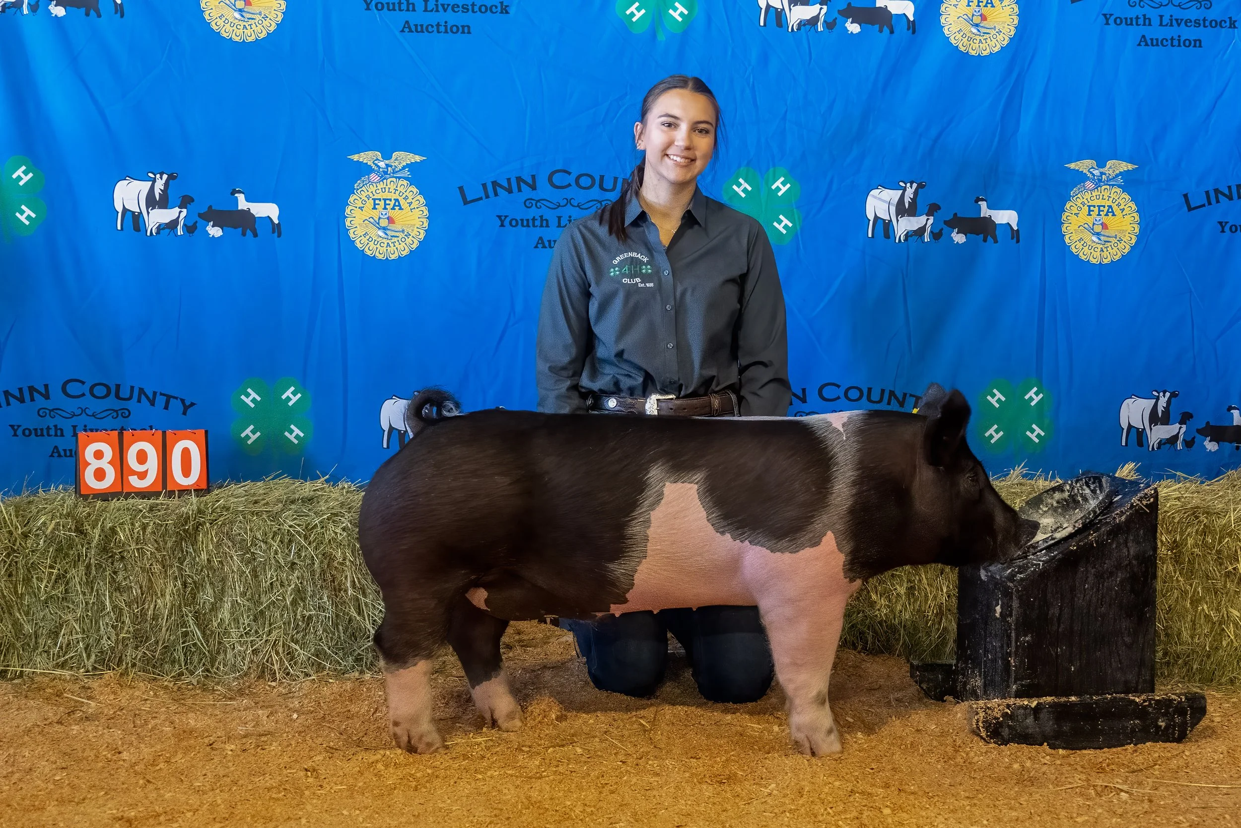 Swine 890 (1 of 1).jpg