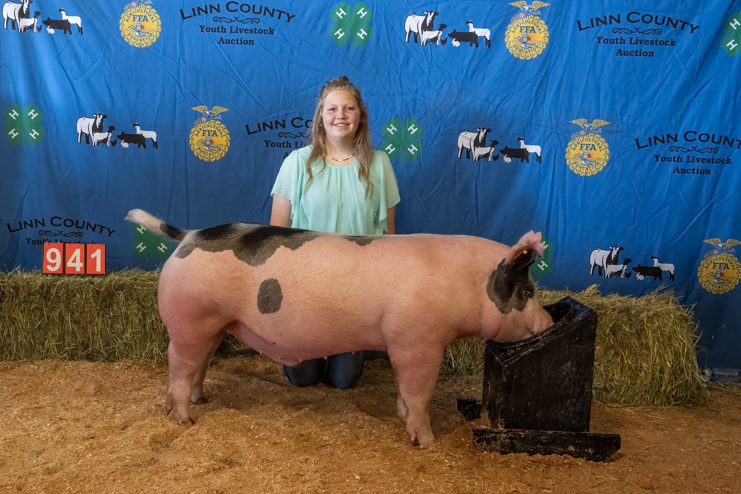 Swine 941 (1 of 1).jpg