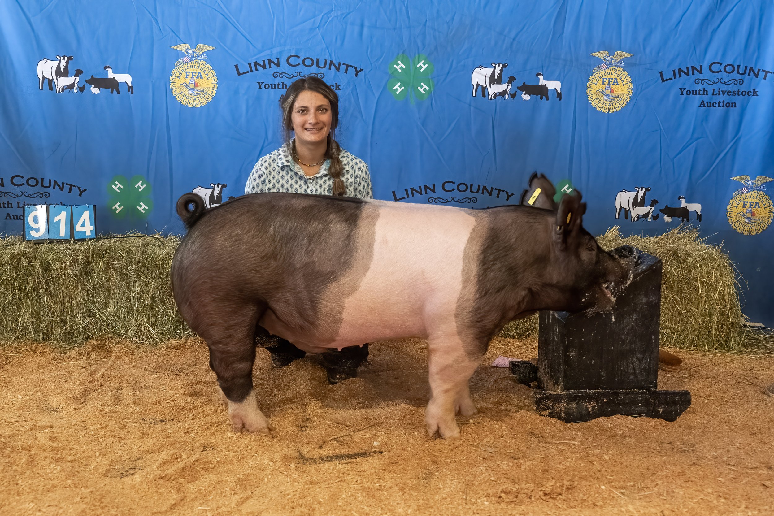 Swine 914 (1 of 1).jpg
