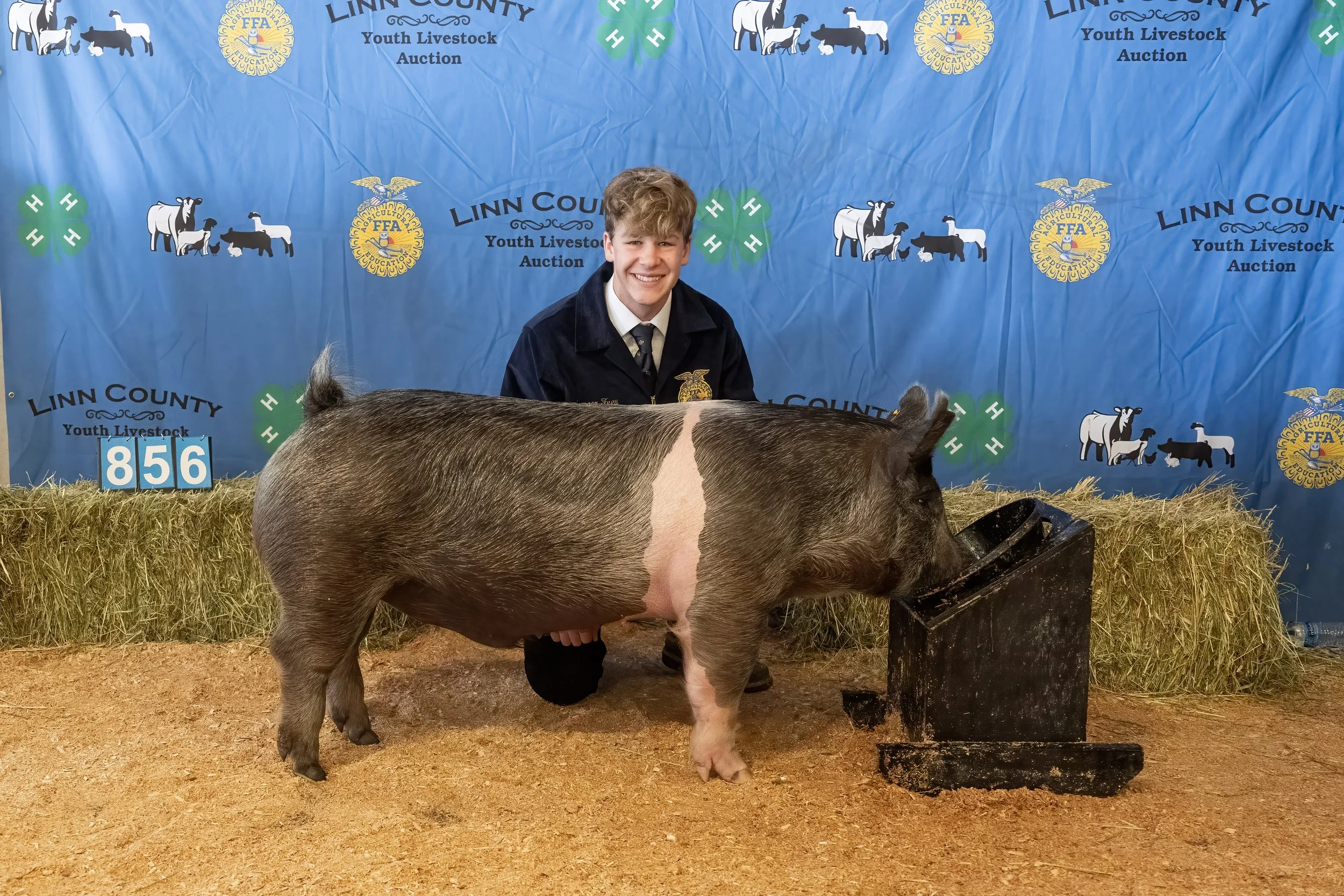 Swine 856 (1 of 1).jpg