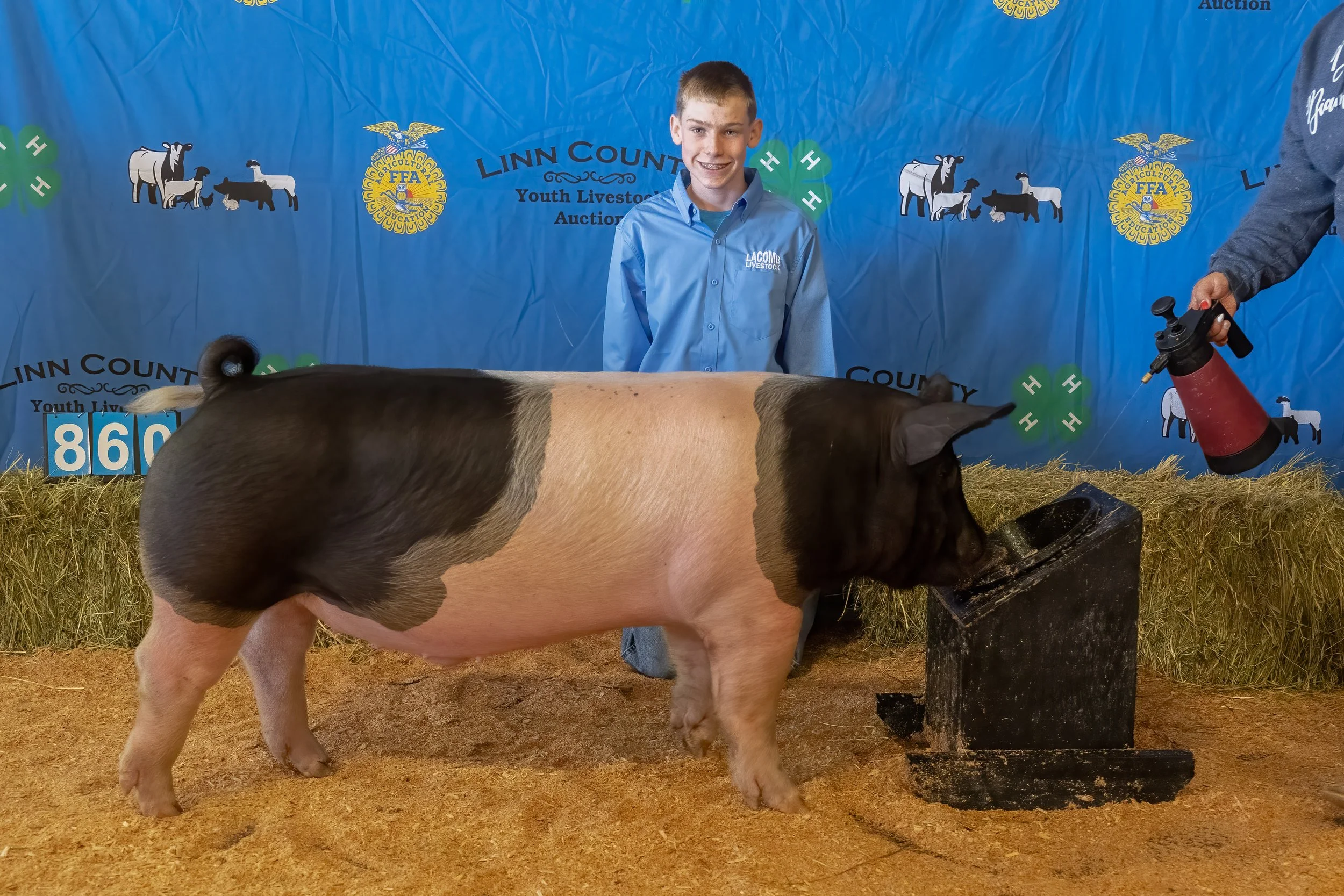 Swine 860 (1 of 1).jpg